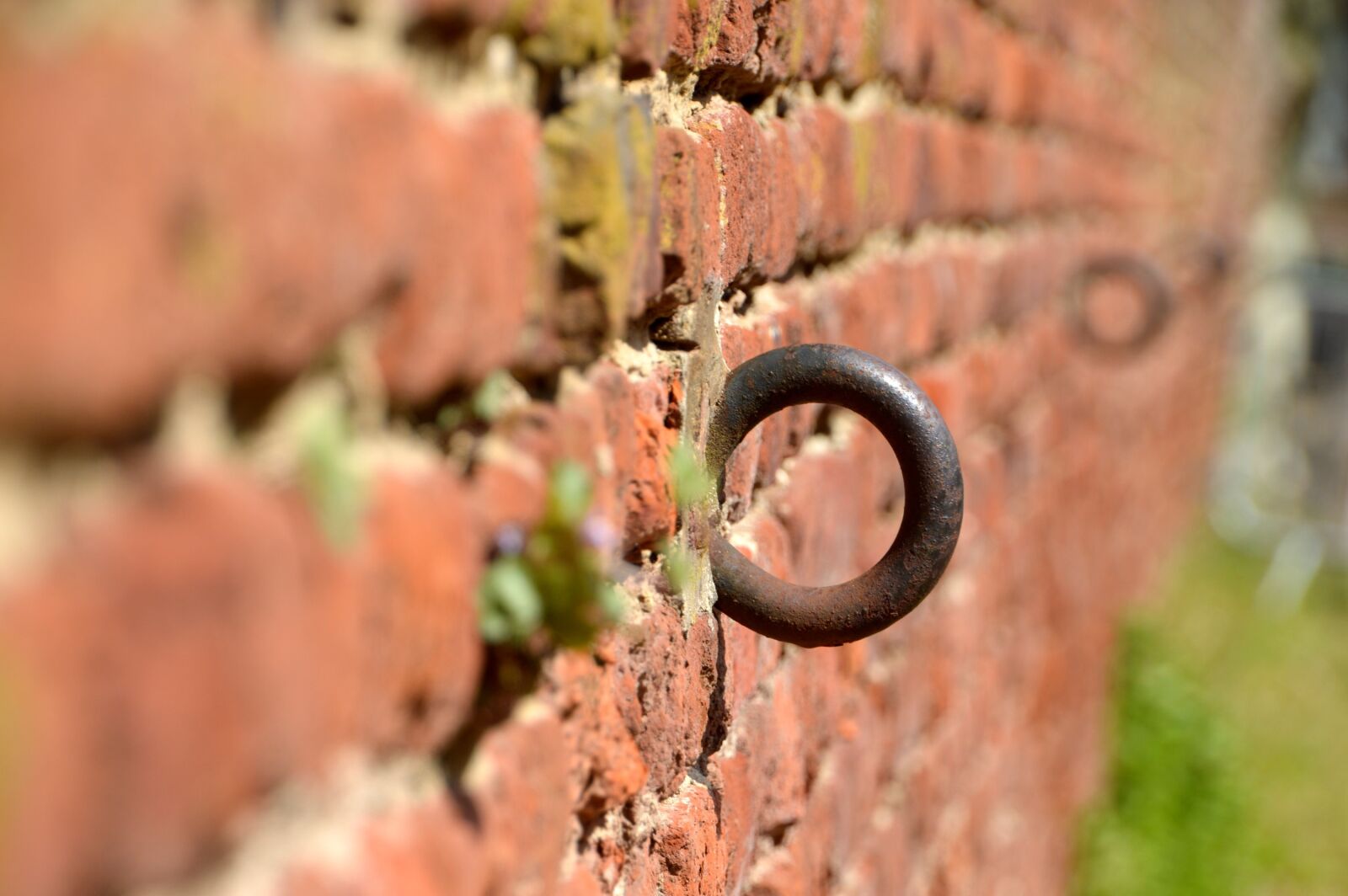 Nikon D3200 sample photo. Wall, brick, œillet photography
