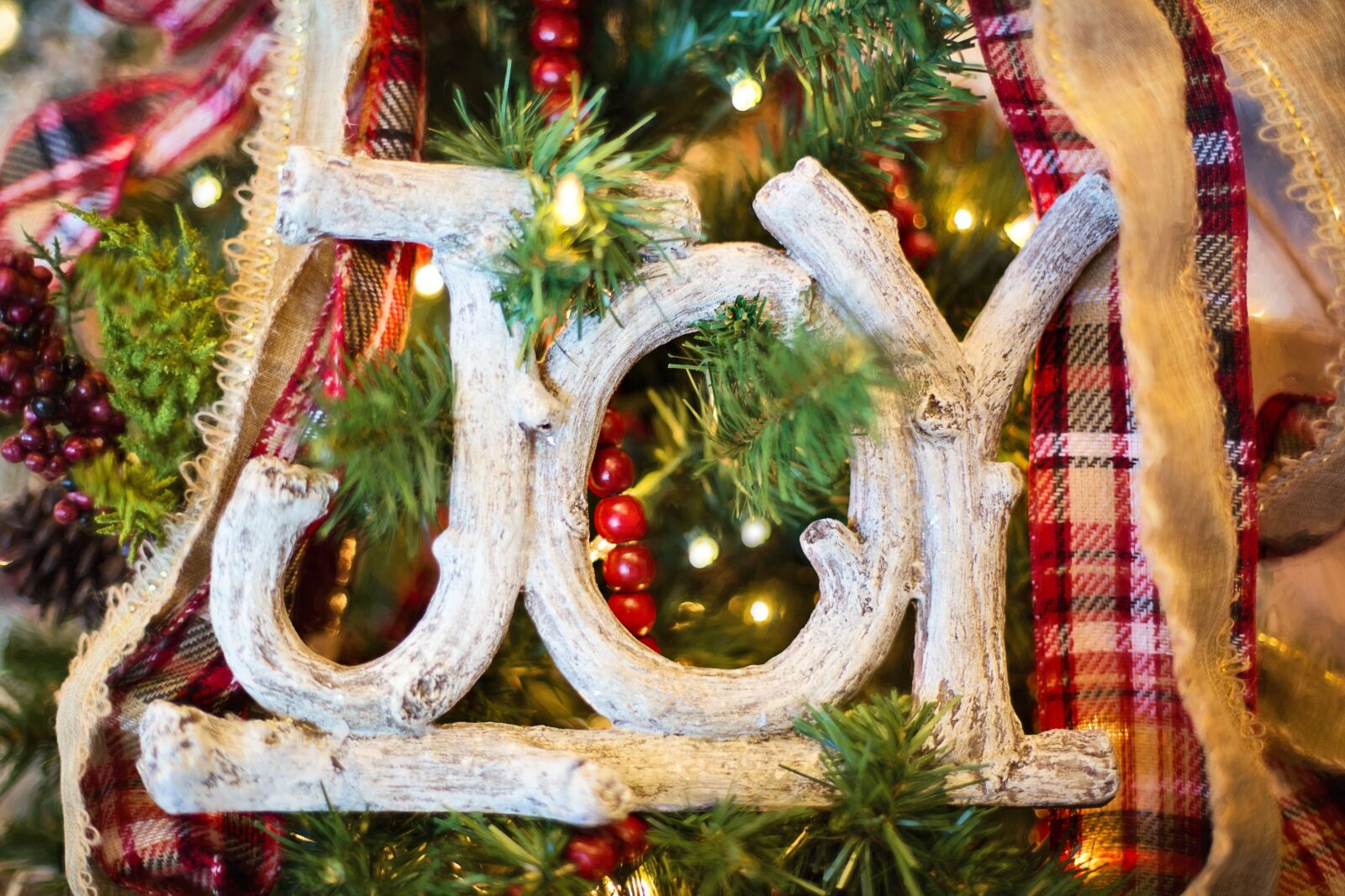 Canon EF 50mm F1.4 USM sample photo. Joy, christmas ornament, christmas photography