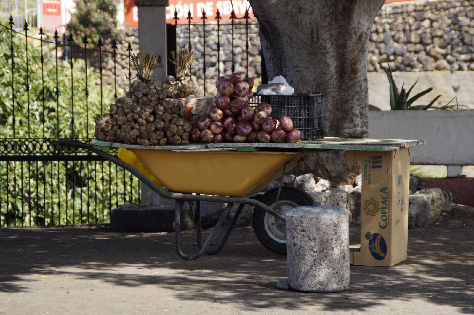 Sony SLT-A58 sample photo. Wheelbarrow, sell, agriculture photography