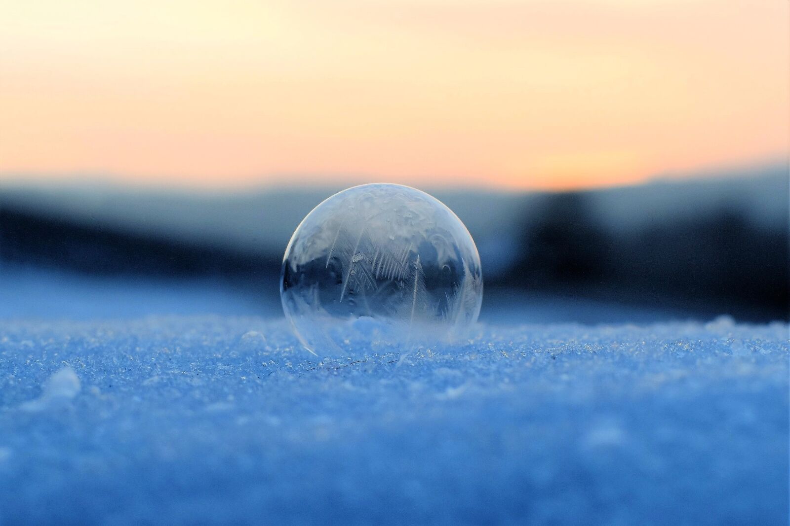 Nikon D5500 sample photo. Soap bubble, frozen, frozen photography
