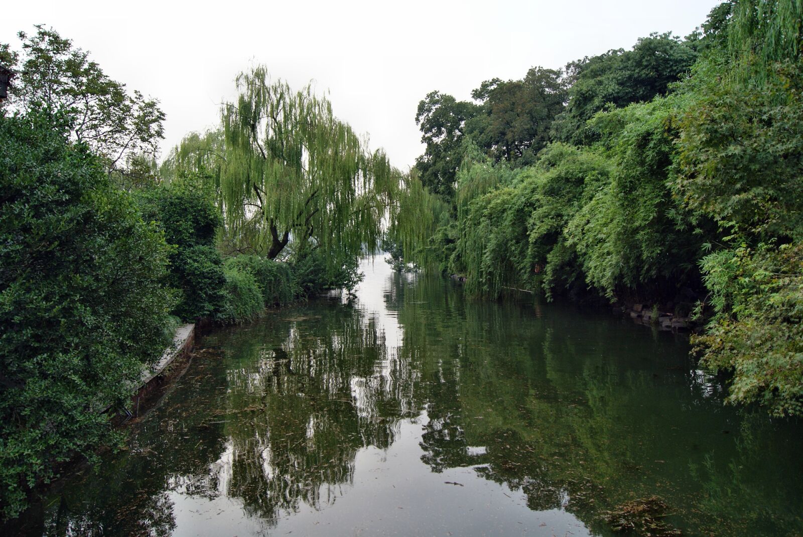 Sony Alpha DSLR-A230 sample photo. Garden, pond, water photography