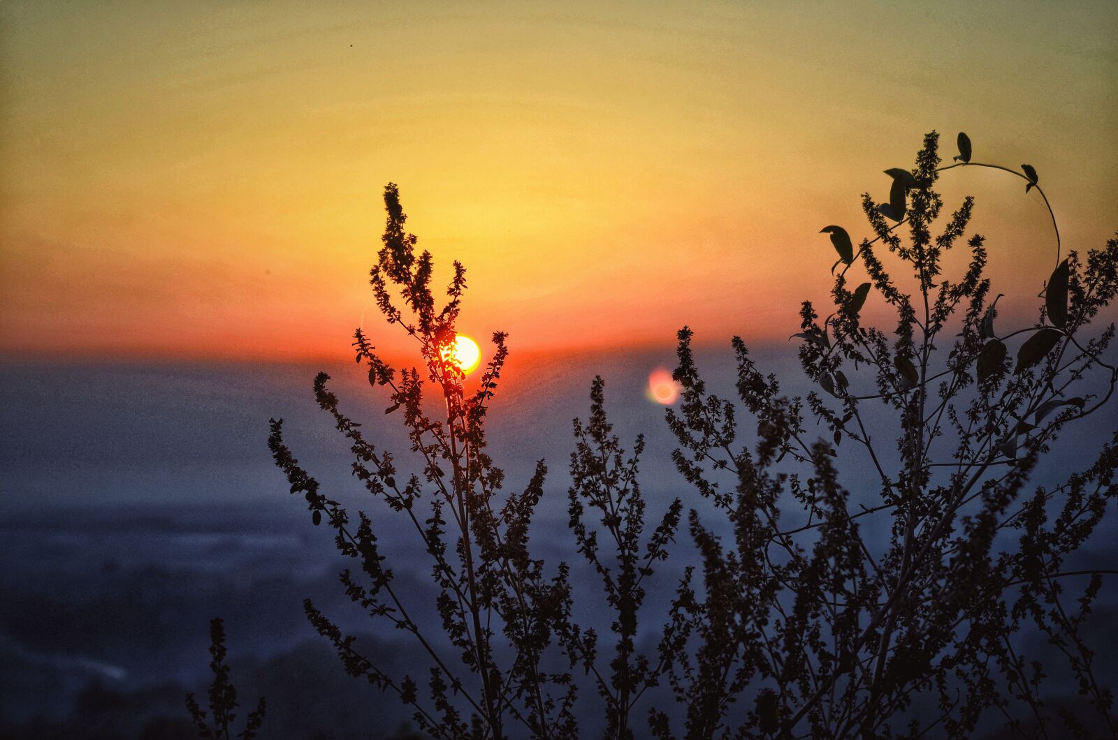 Nikon D5100 sample photo. Sunset, sun, red photography