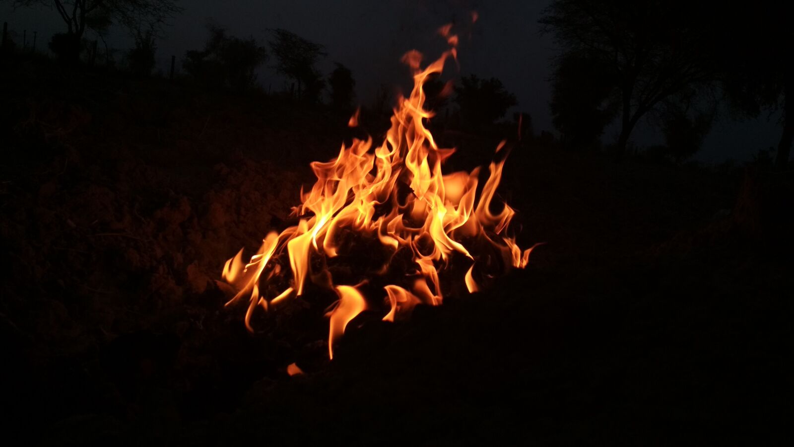 Xiaomi Redmi 4 Pro sample photo. Flame, hot, bonfire photography