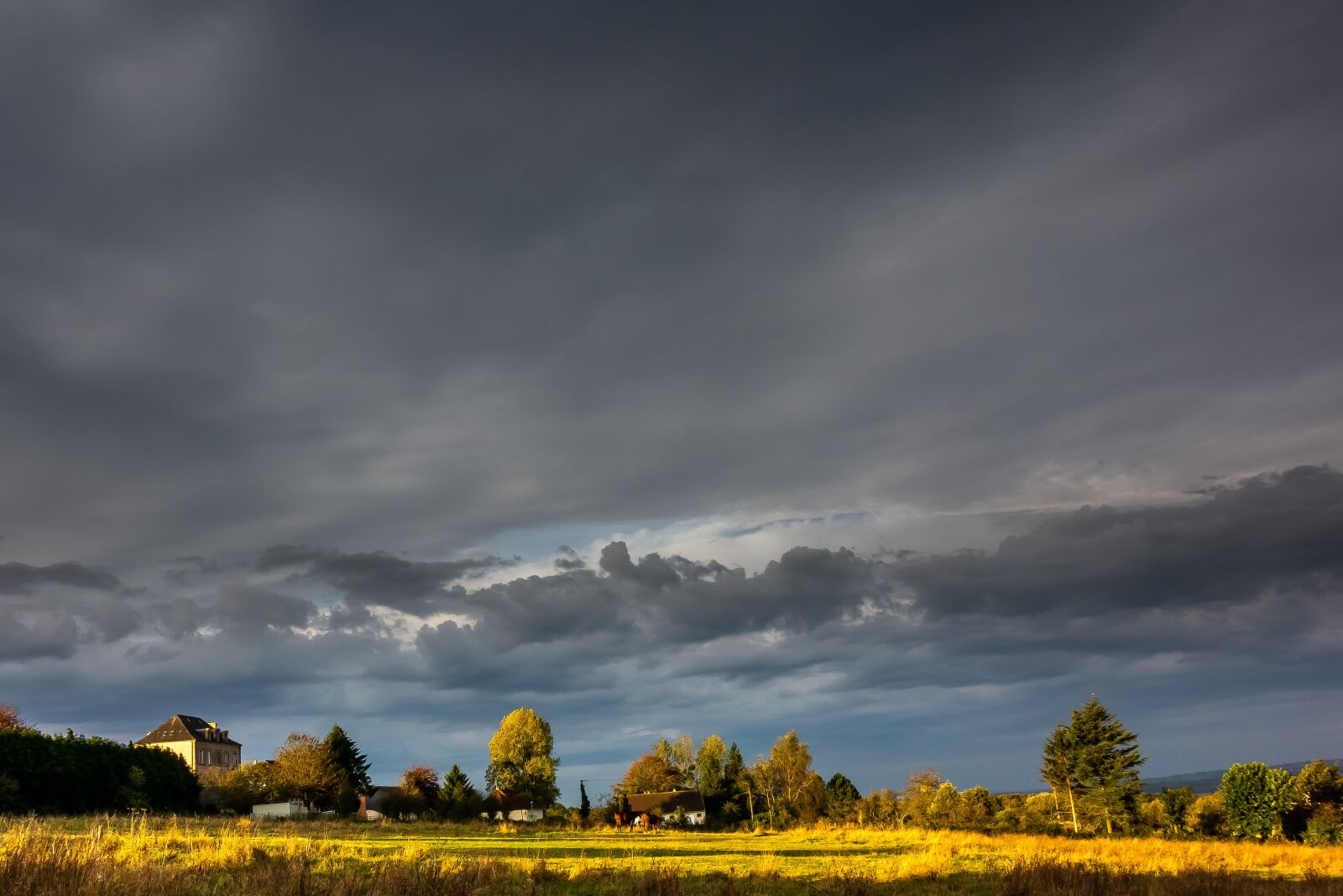 Sony Cyber-shot DSC-RX100 sample photo. Landscape, france, normandy photography