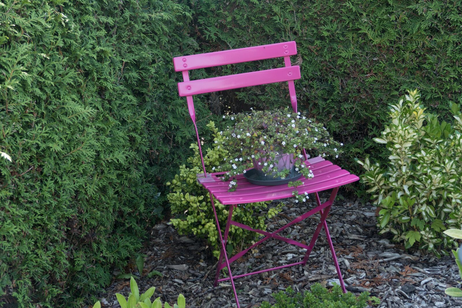 Panasonic Lumix DMC-FZ1000 sample photo. Garden, chair, still life photography