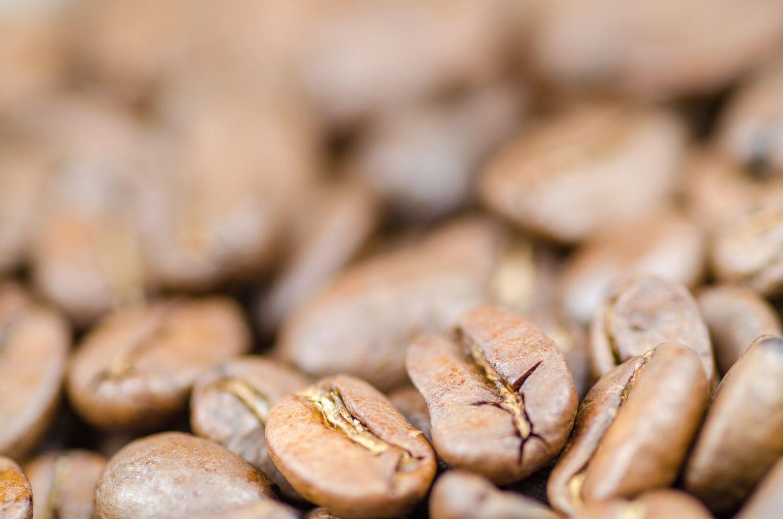 Nikon D5100 sample photo. Coffee, brown, caffeine photography