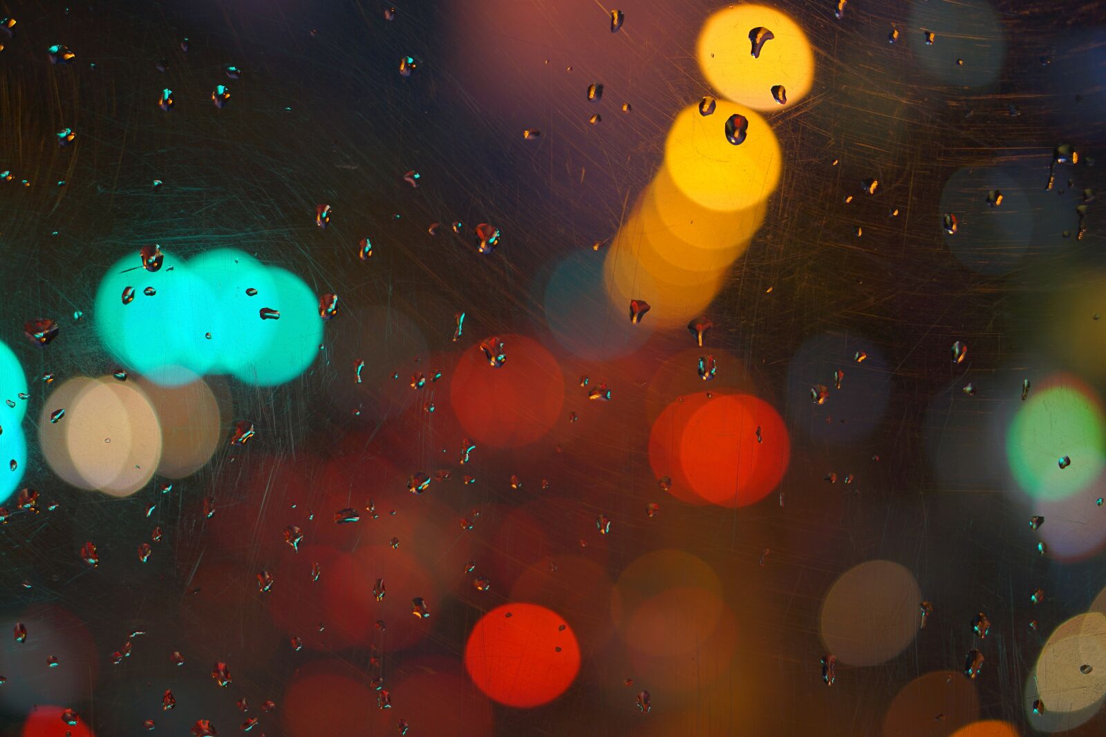 Sony a6000 + E 50mm F1.8 OSS sample photo. Bokeh, raindrops, color photography