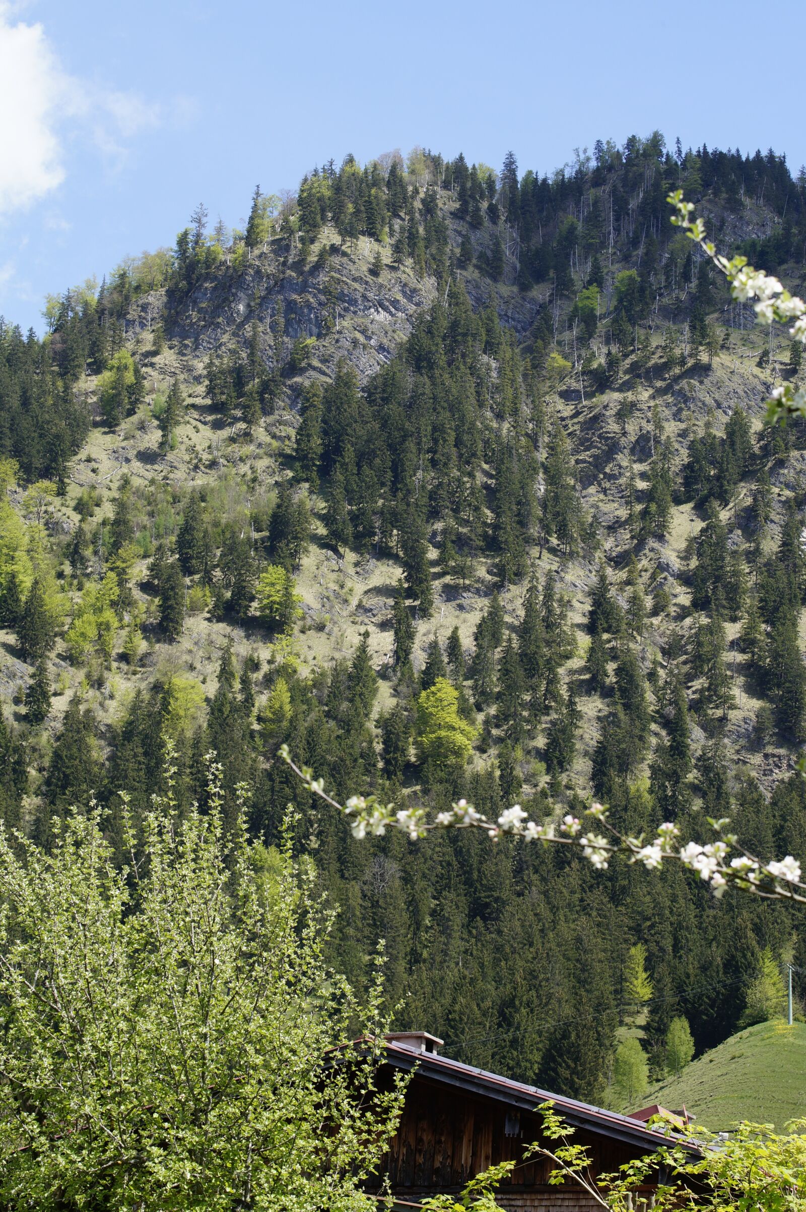 Sony SLT-A58 sample photo. Mountain, allgäu, alpine photography