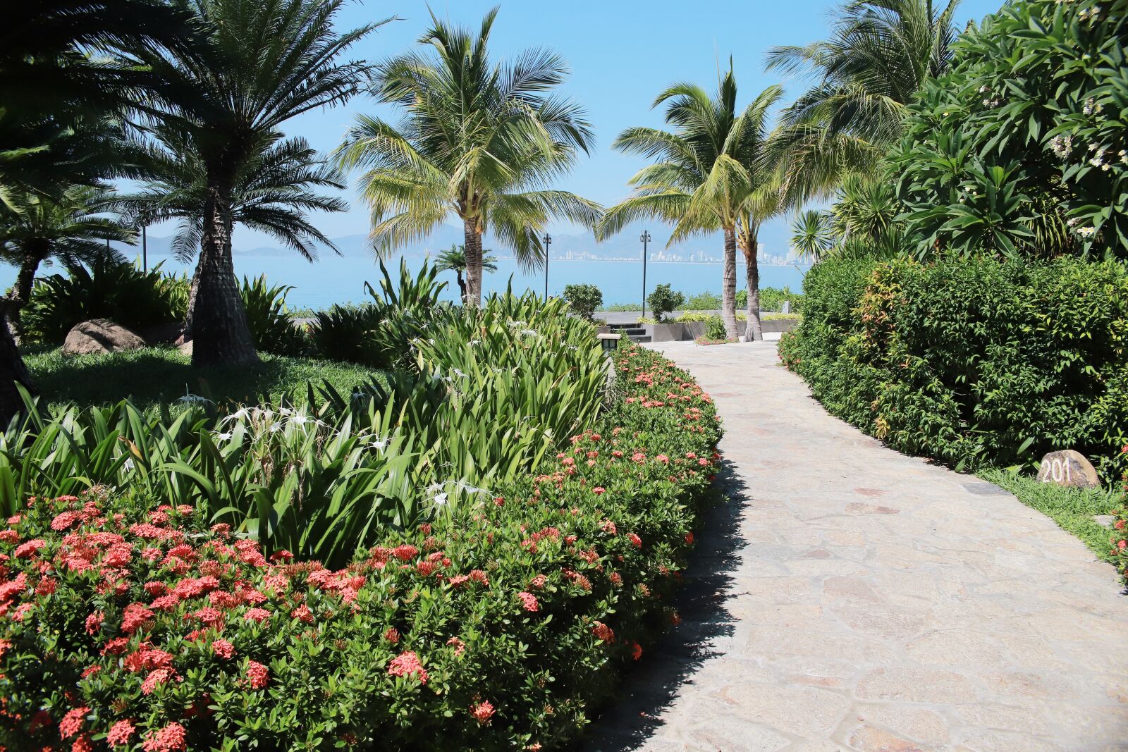 Canon EOS 6D Mark II sample photo. Road, resort, sky photography
