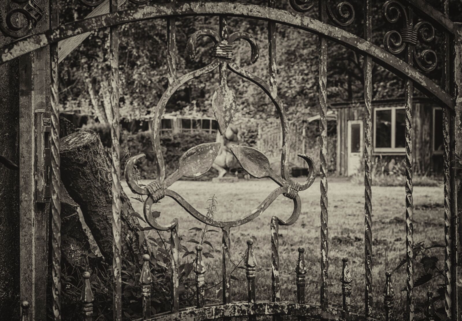 Nikon D3300 sample photo. Fence, iron, wrought iron photography