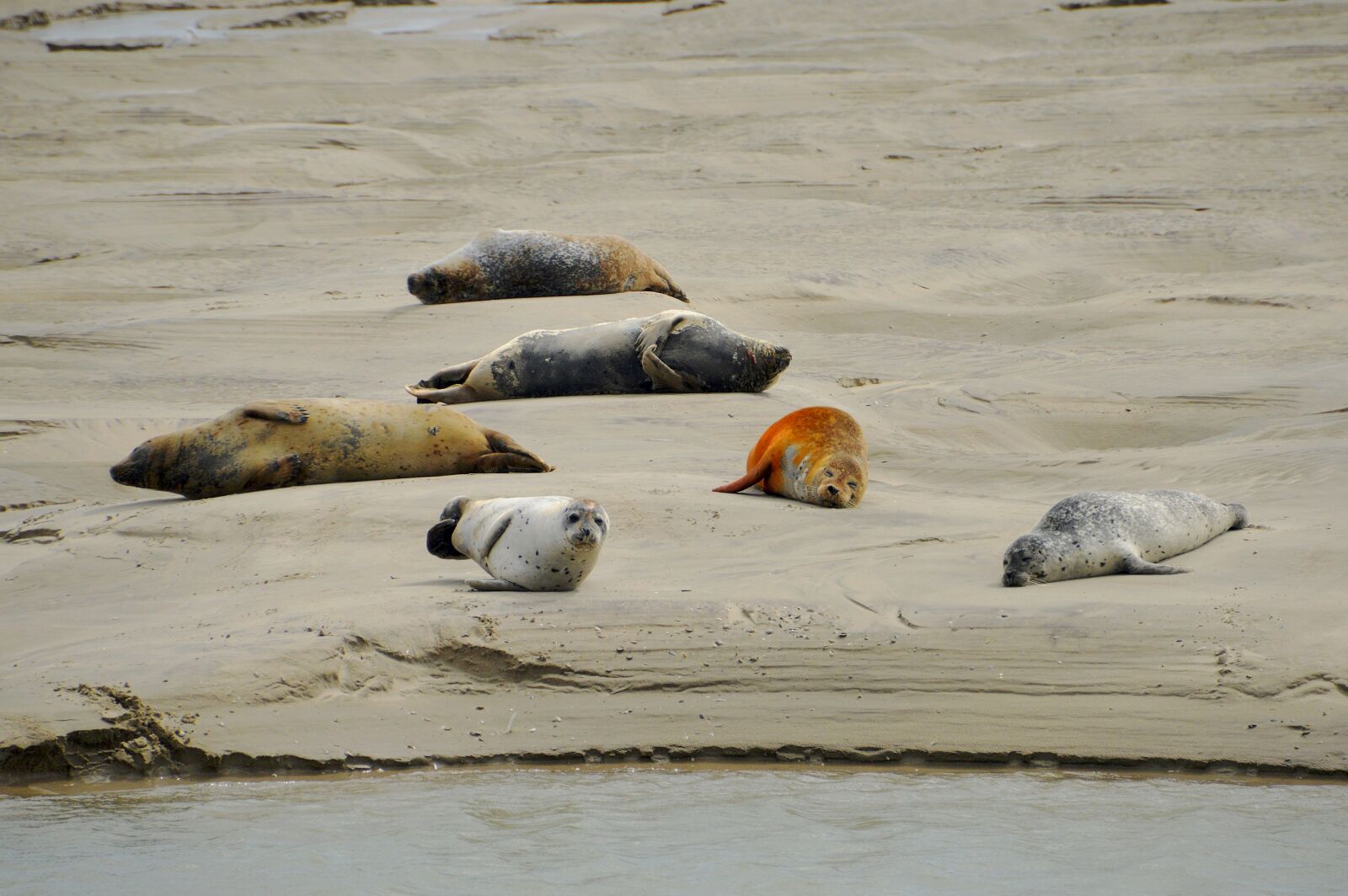 Nikon D3200 sample photo. Sea, beach, berck photography
