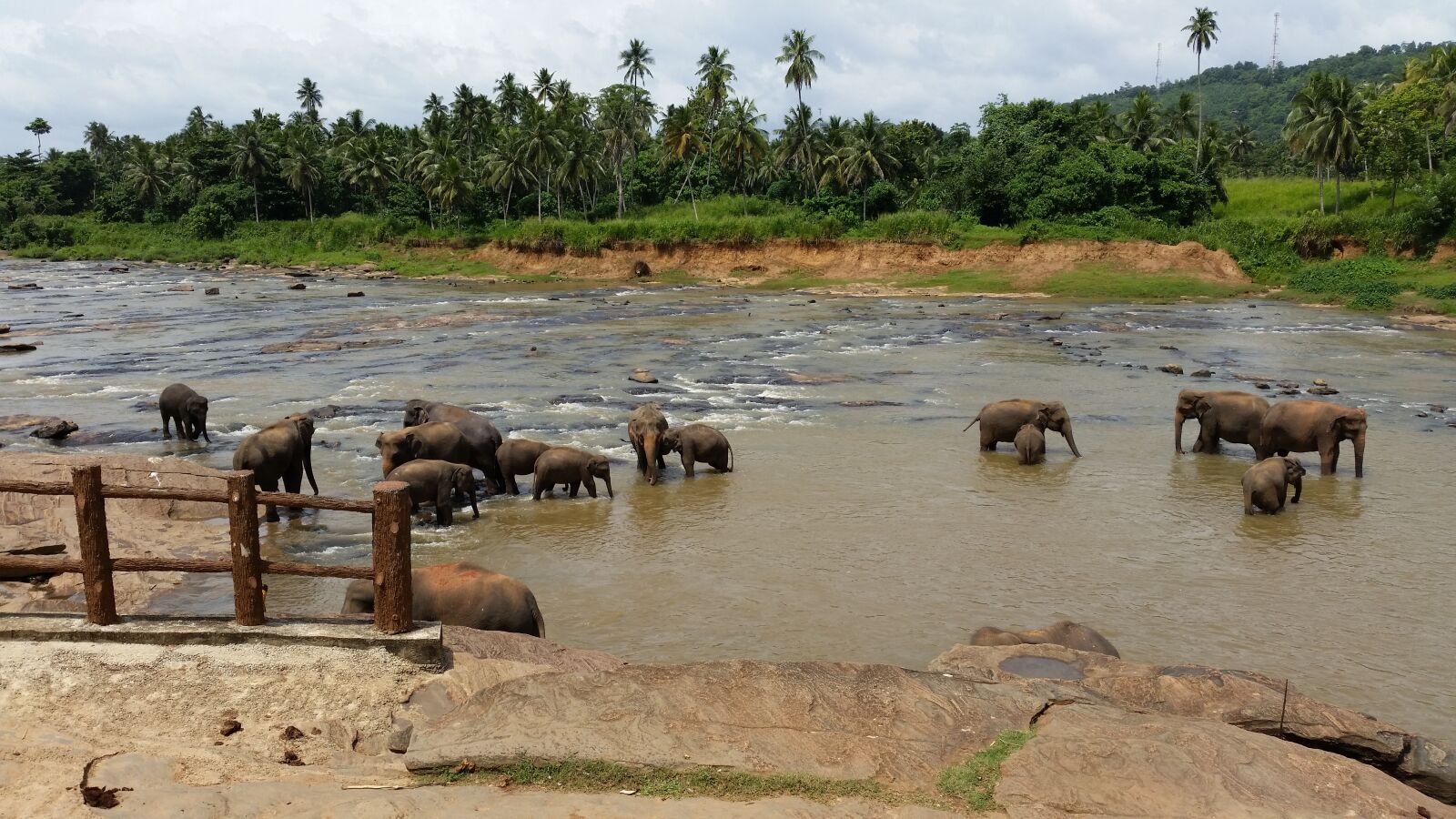 Samsung Galaxy S5 sample photo. Sri lanka, elephant orphanage photography