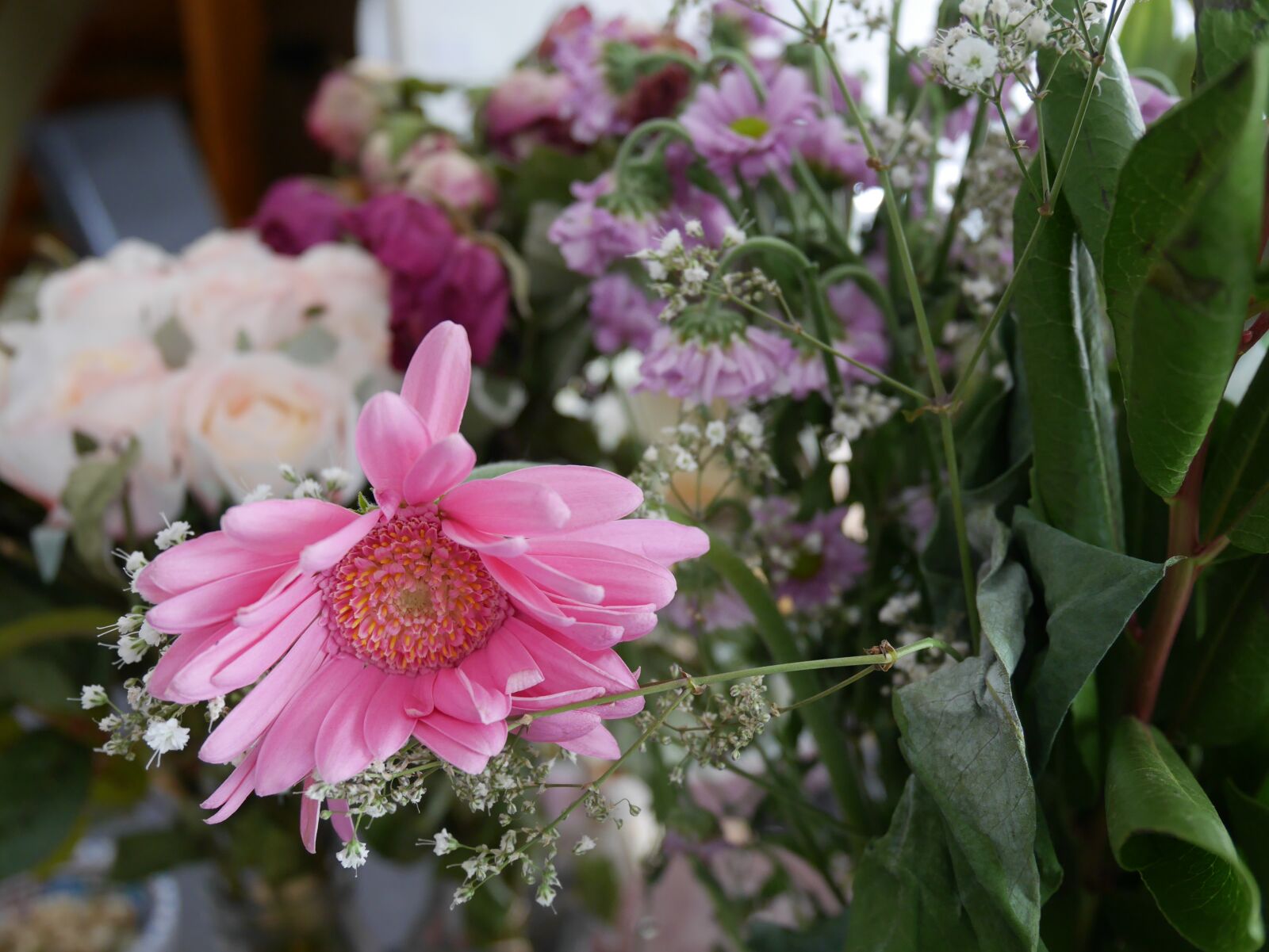 Panasonic Lumix DMC-GF7 sample photo. Flower, blomma, blossom photography
