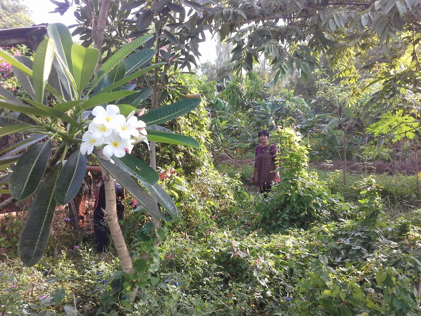 Samsung Galaxy Note 10.1 sample photo