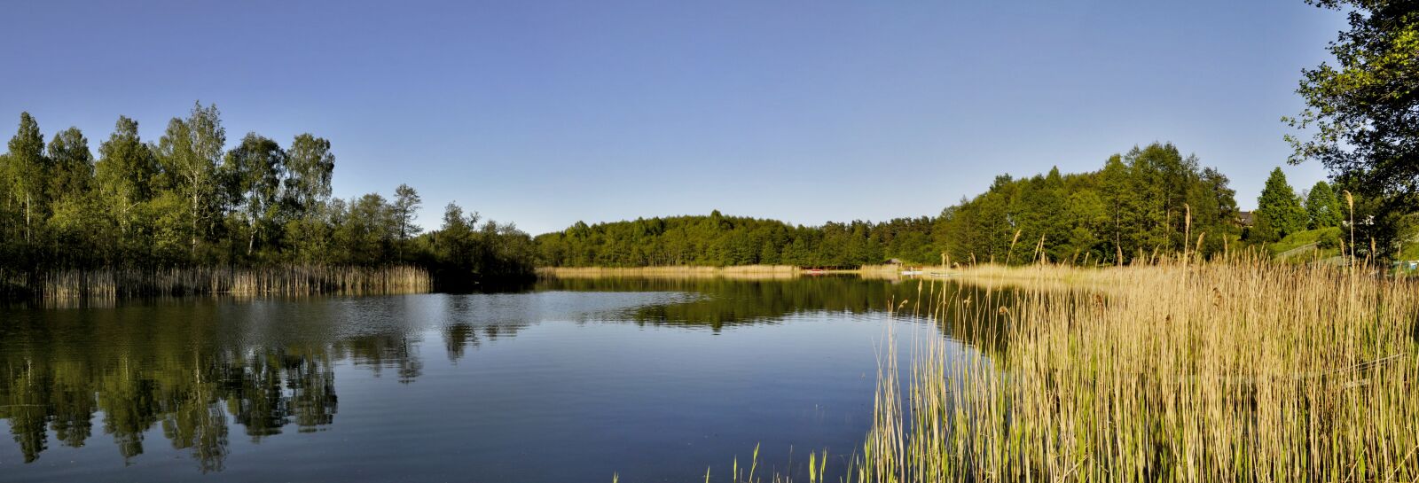 Nikon D5000 sample photo. The wave is reflected photography