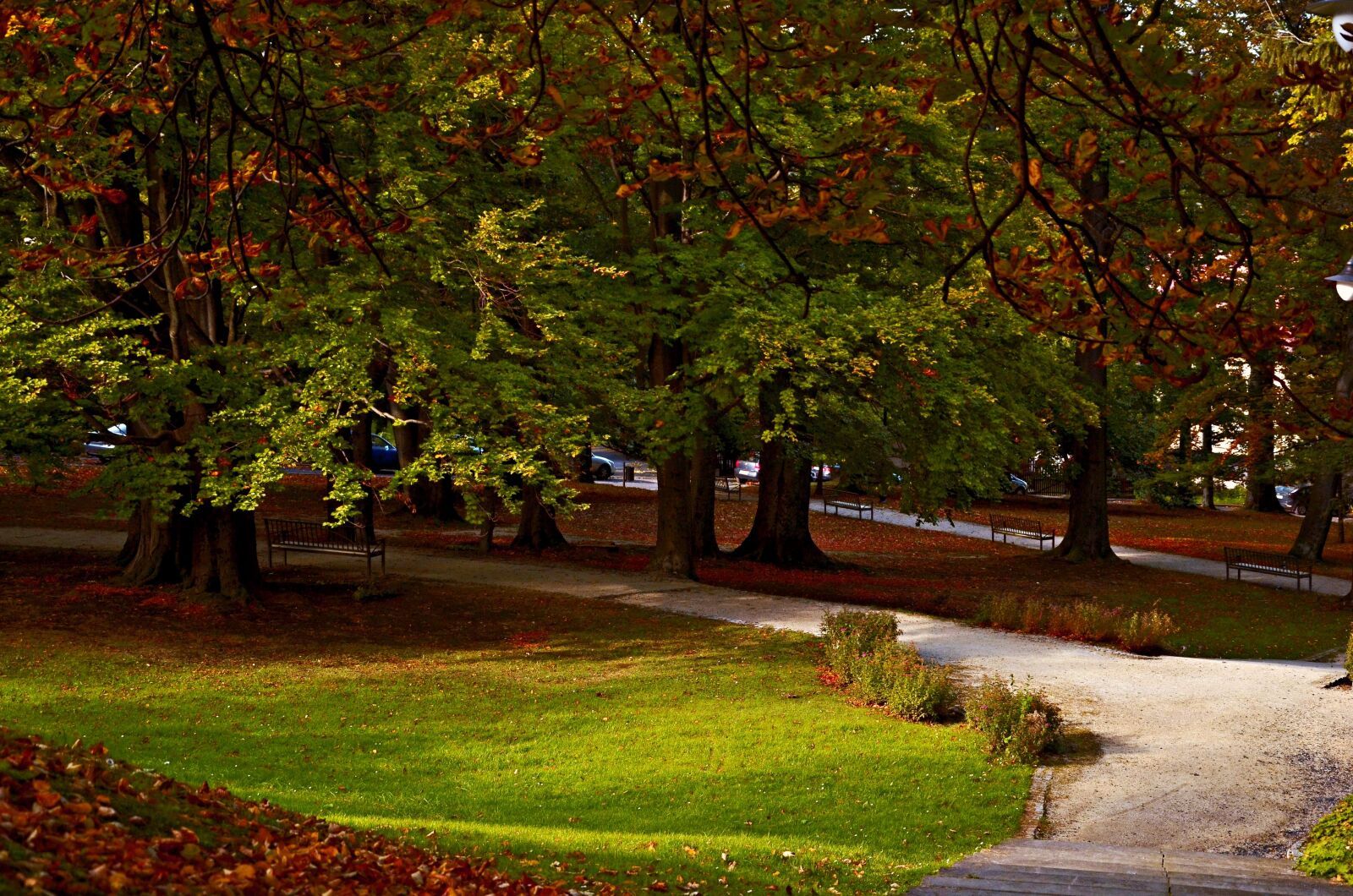 Nikon D5100 sample photo. Poland, wierad w-zdr j photography