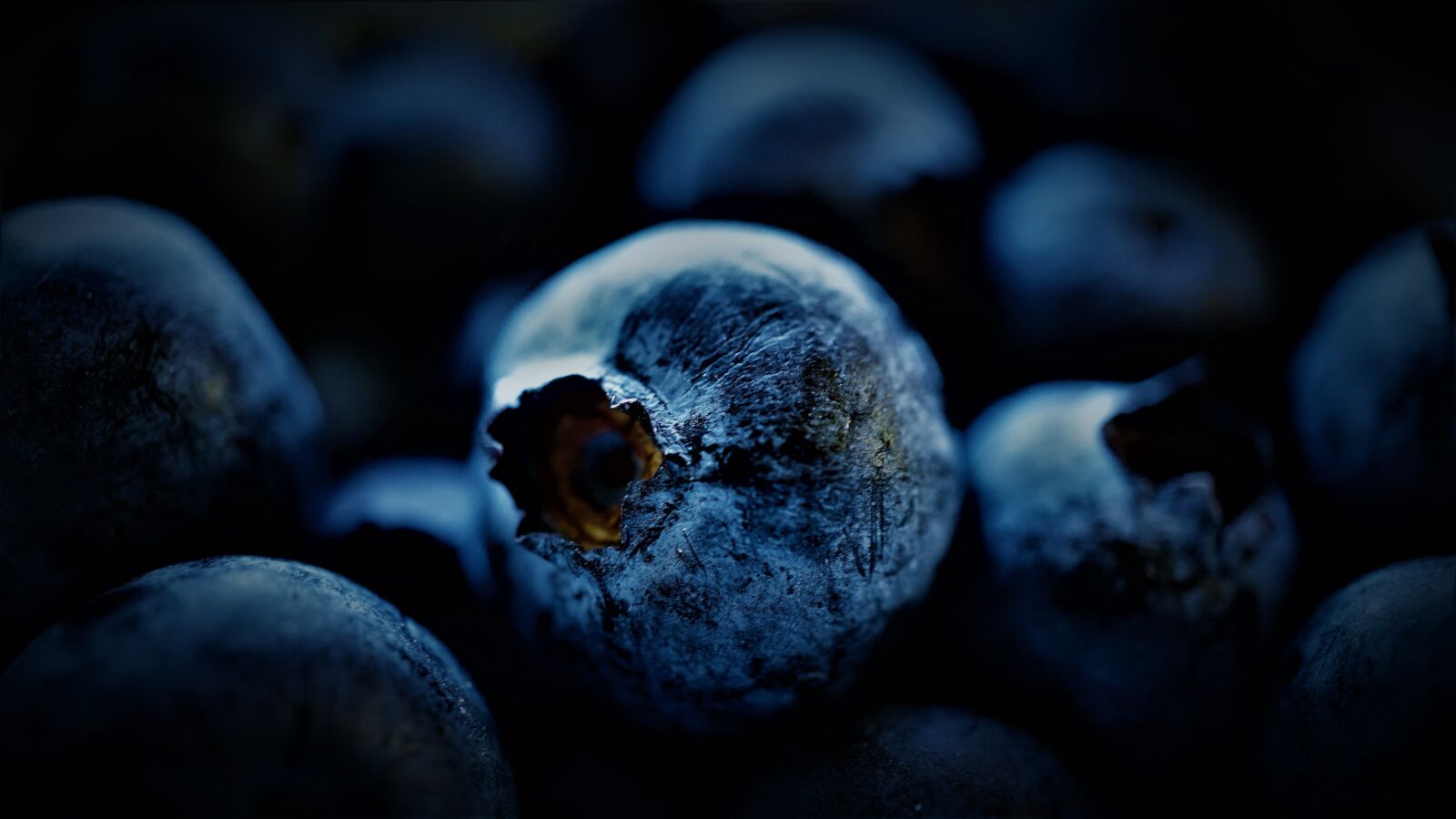 Sony E 30mm F3.5 Macro sample photo. Blueberry, black berry, moll photography