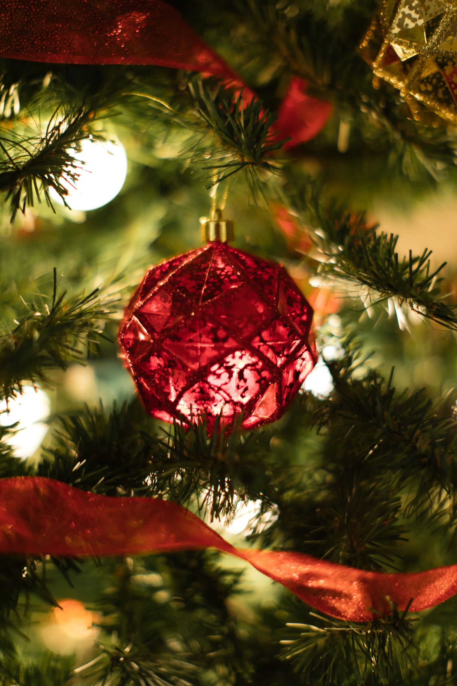 Canon EOS 5D Mark IV + Canon EF 50mm F1.2L USM sample photo. Christmas, christmas tree, christmas photography