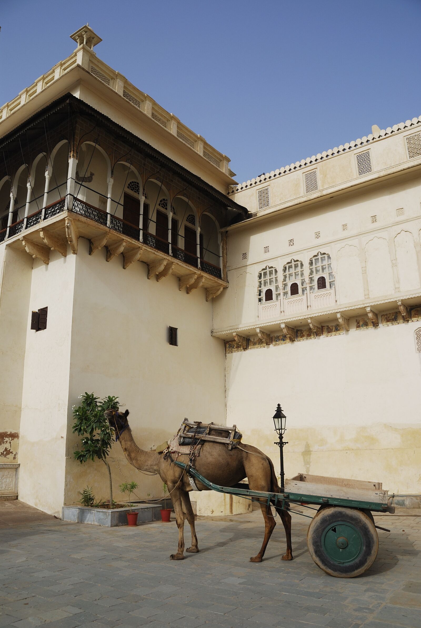 Nikon D80 sample photo. India, rajasthan, travel photography