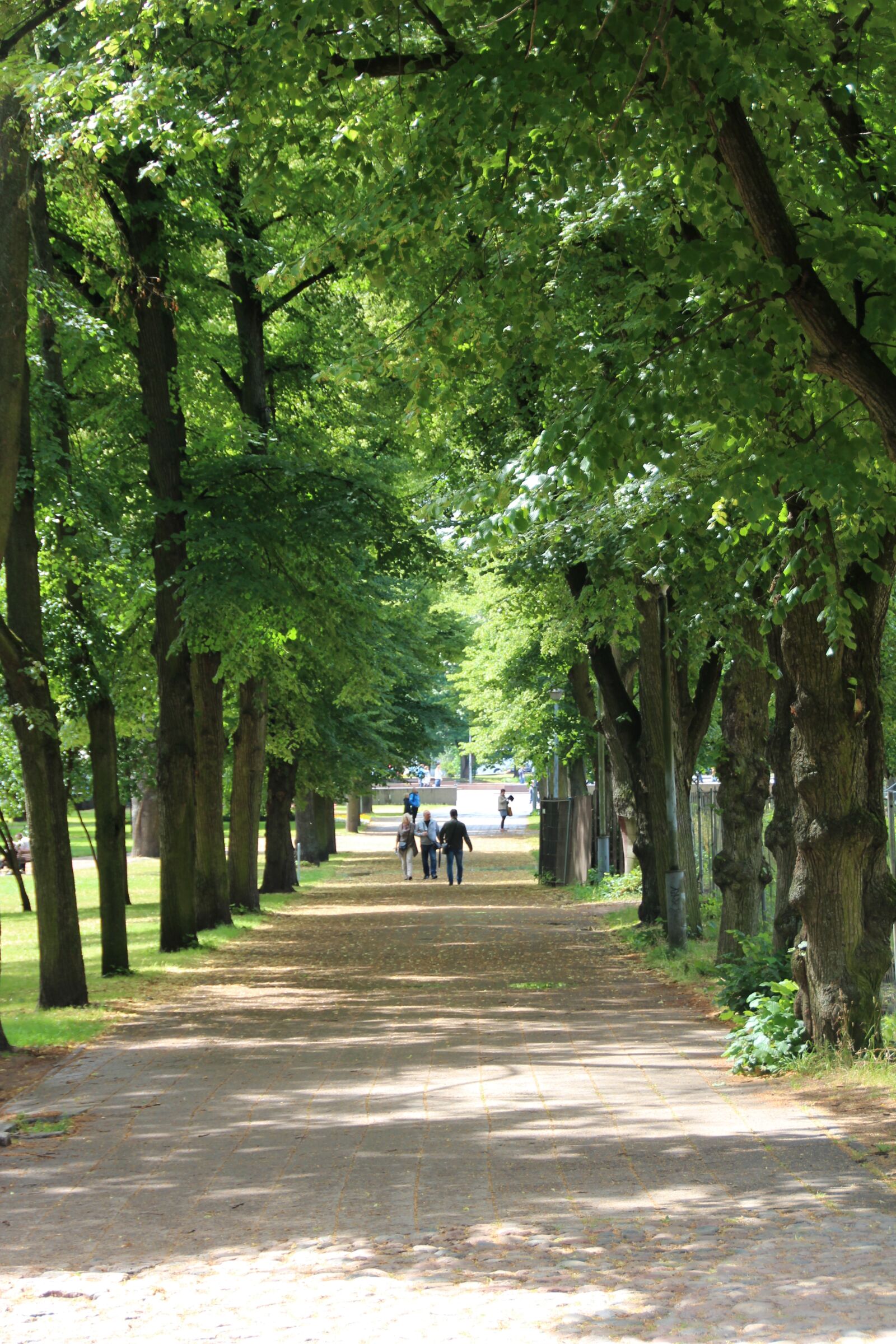 Canon EOS 600D (Rebel EOS T3i / EOS Kiss X5) sample photo. Forest path, stadtwald, idyll photography