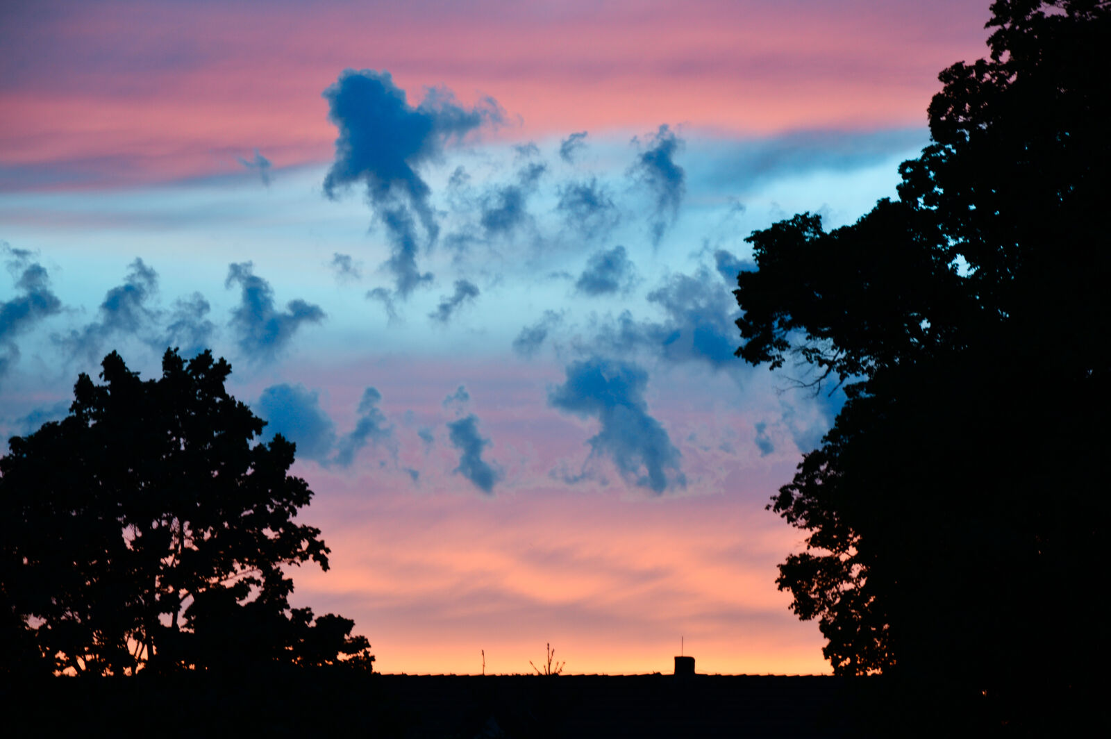 Nikon D3200 sample photo