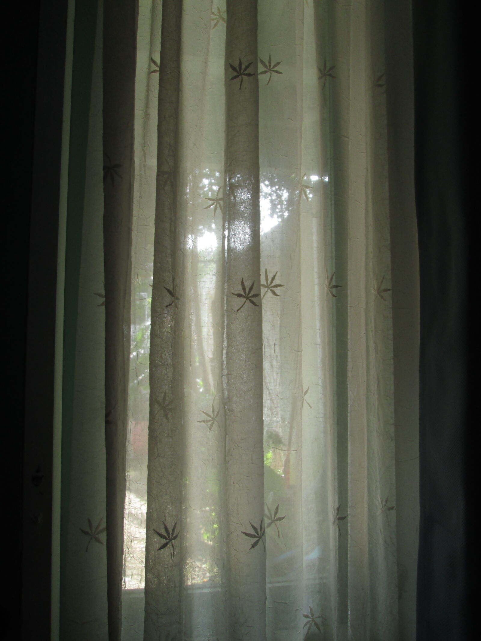 Canon PowerShot A2300 sample photo