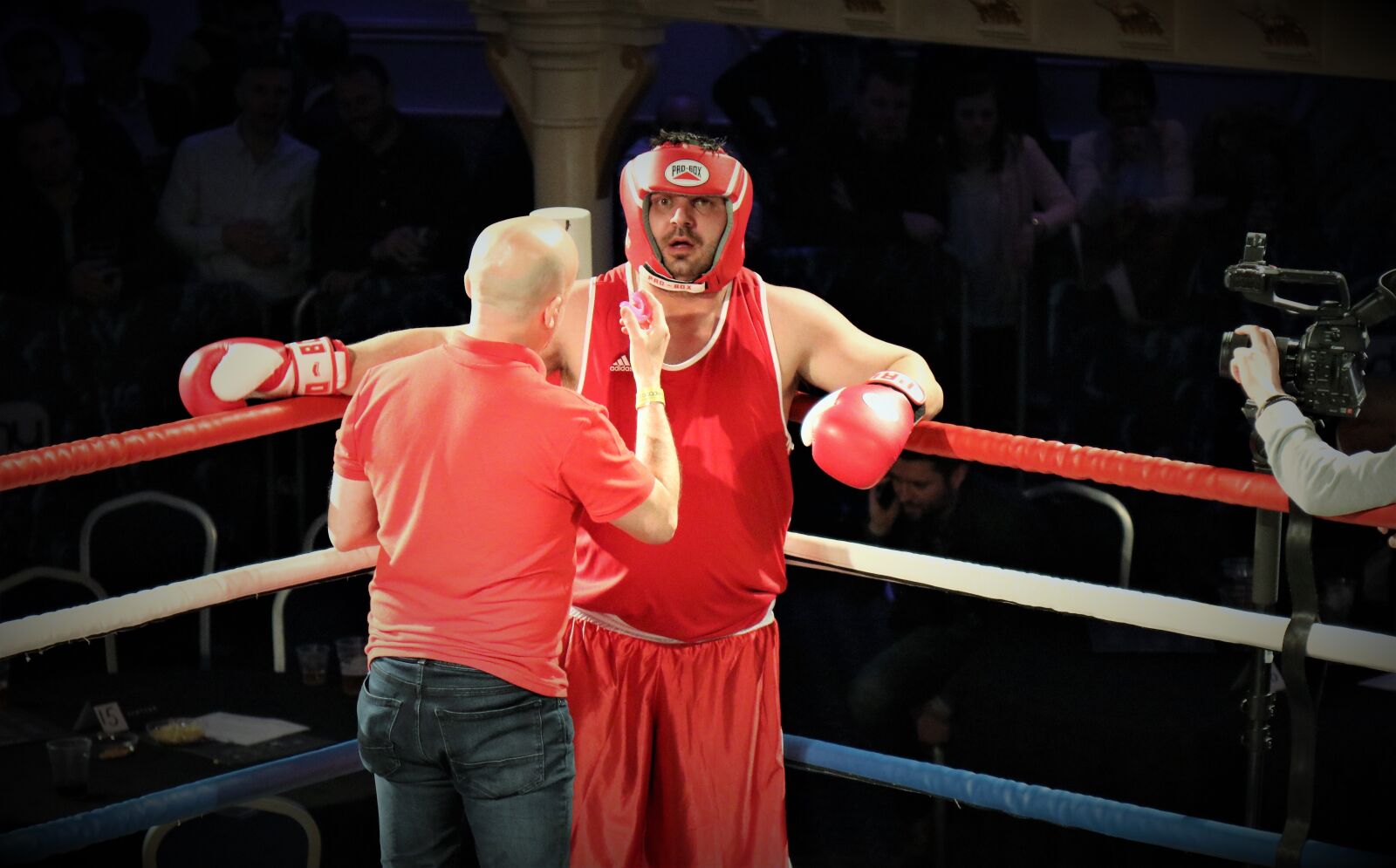 Canon EF 24-105mm F4L IS USM sample photo. Boxer, event photography