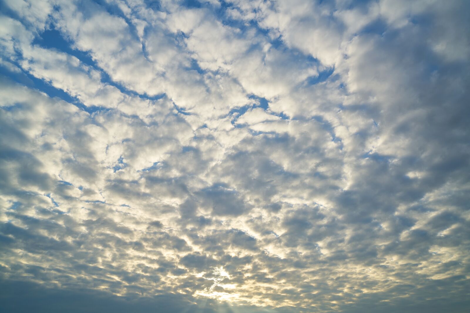 Sony a7R II sample photo. Sky, cloud, blue photography