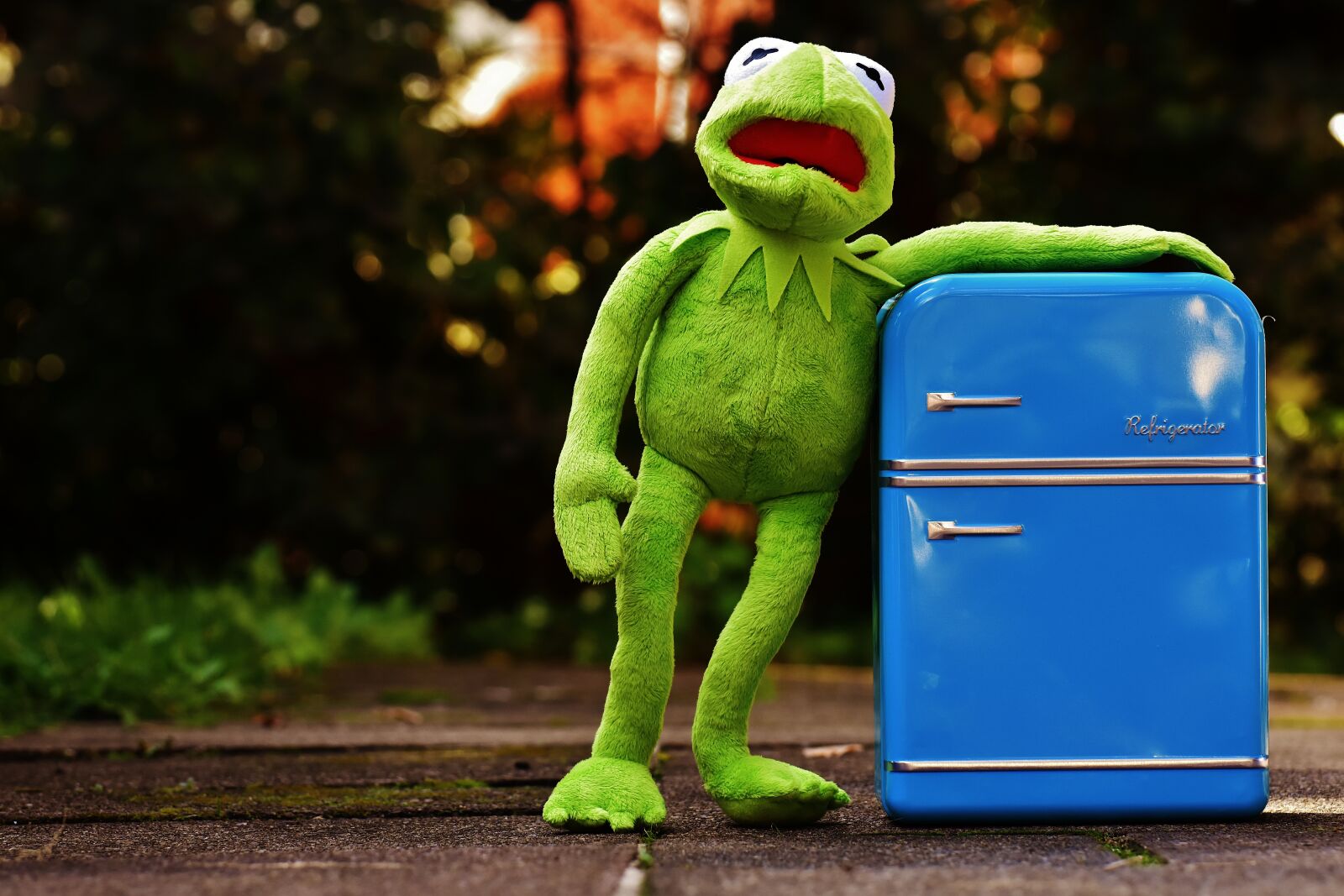 Nikon D7200 sample photo. Kermit, frog, refrigerator photography