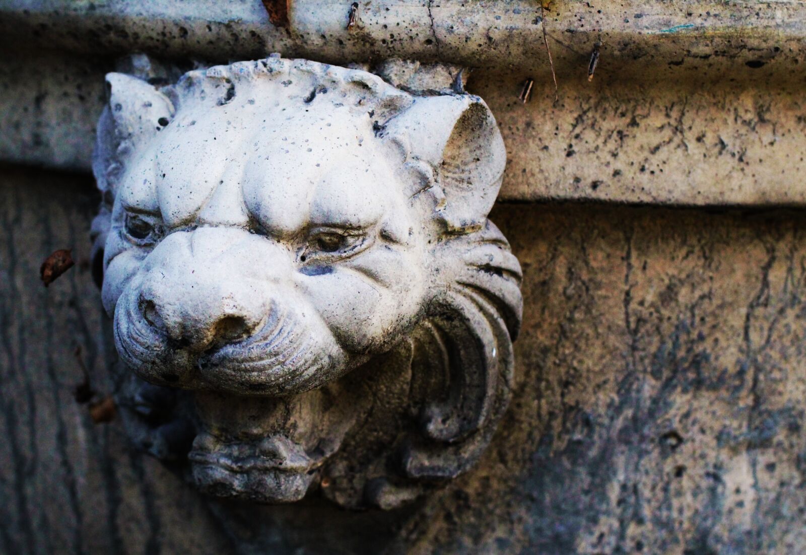 Canon EF 50mm F1.4 USM sample photo. Fountain head, lion, stone photography