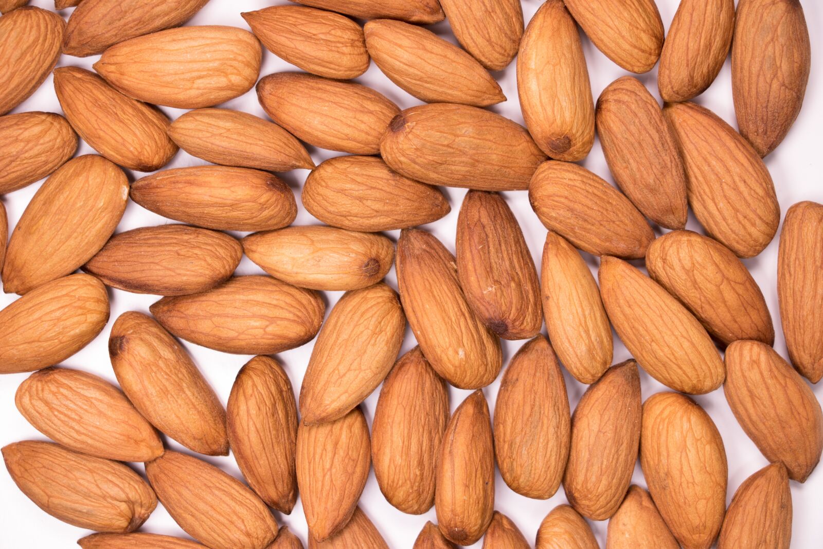 Canon EF-S 18-135mm F3.5-5.6 IS USM sample photo. Almond, background, badam photography