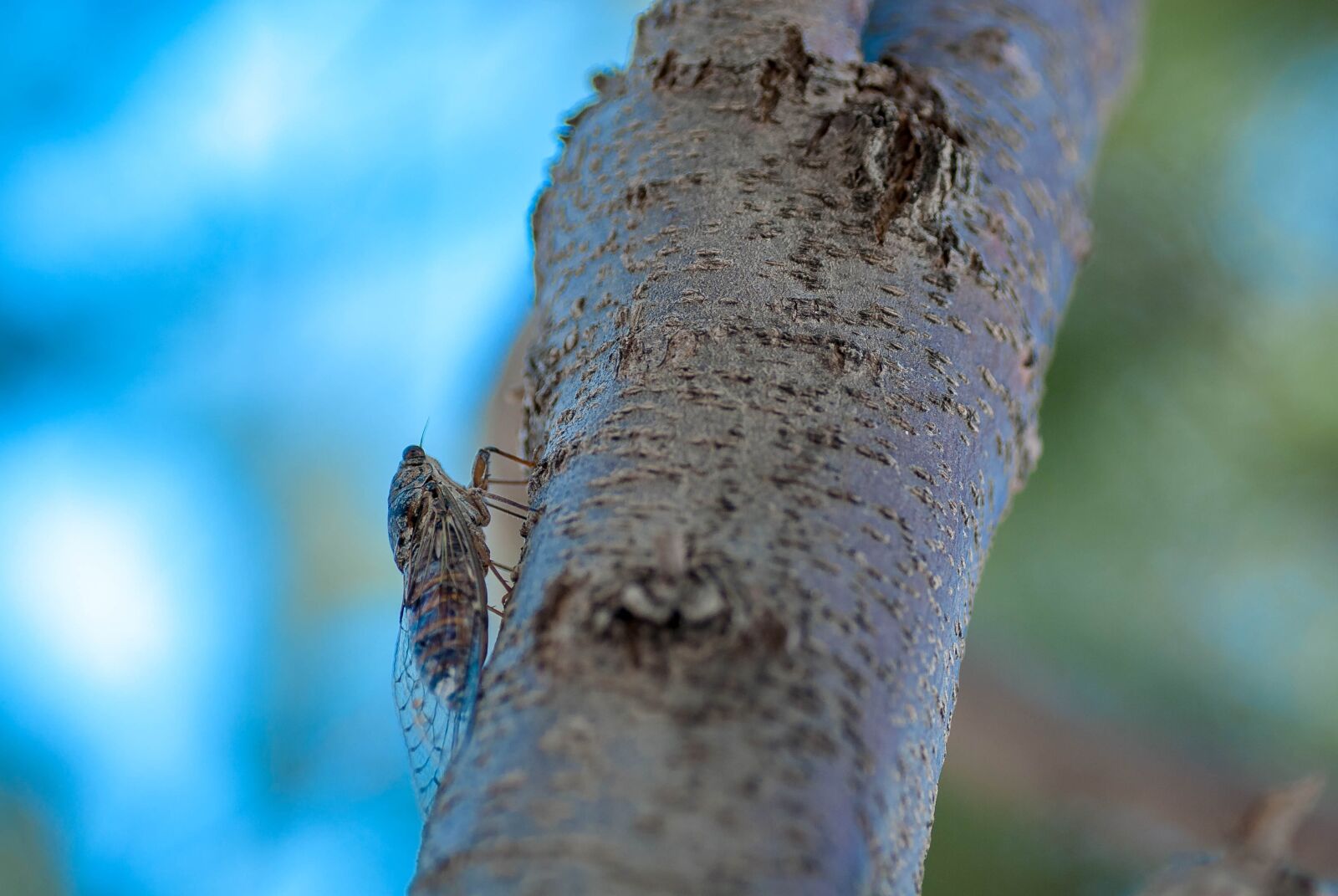 Nikon D80 sample photo. Crete, plakias, sea photography