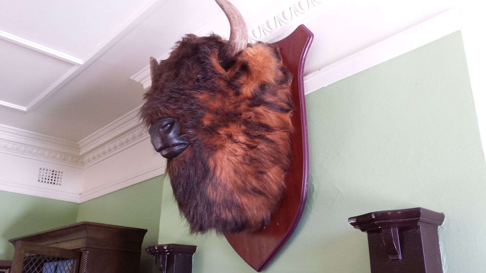 Samsung Galaxy S4 sample photo. Buffalo, head, trophy photography
