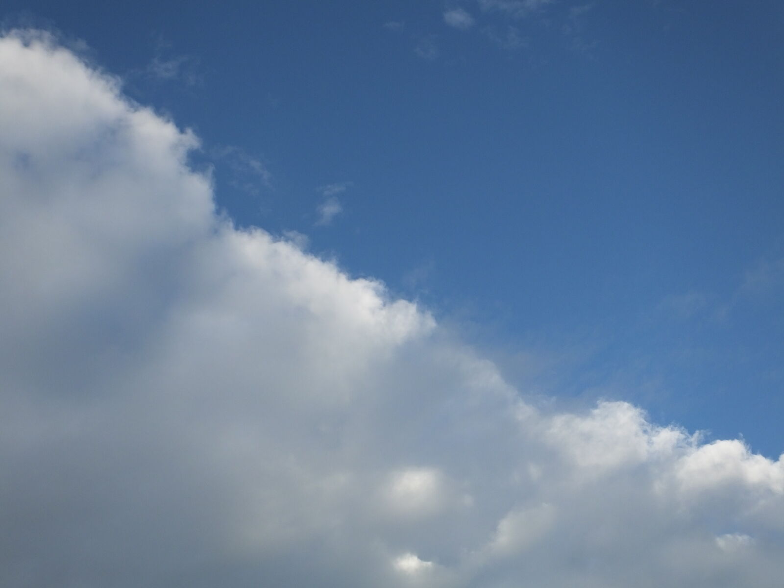 Fujifilm FinePix HS50 EXR sample photo