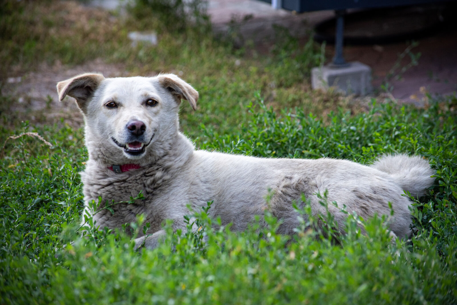 Nikon D750 sample photo
