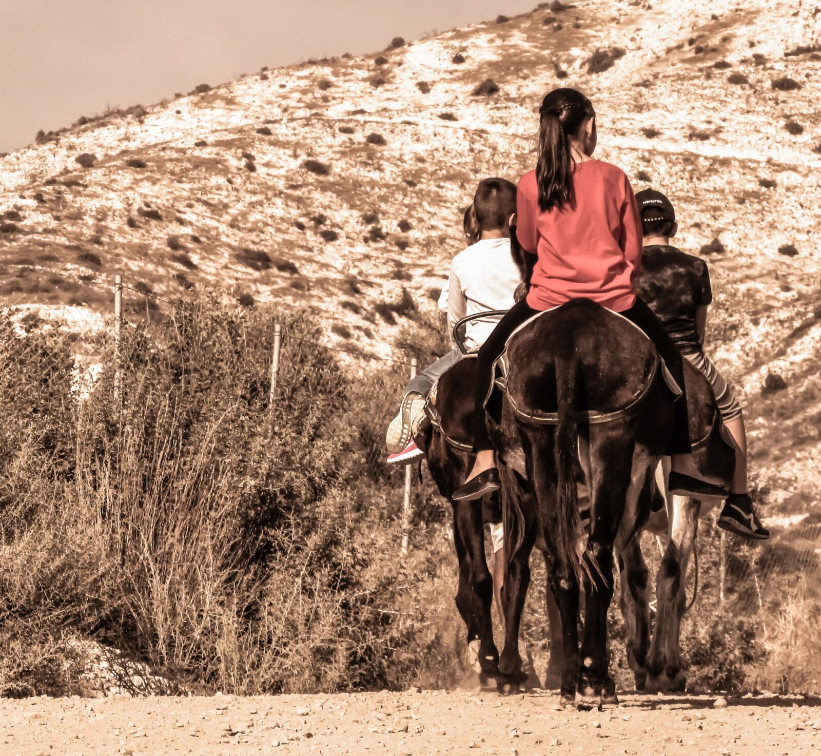 Canon PowerShot SX400 IS sample photo. Donkey ride, kids, donkey photography