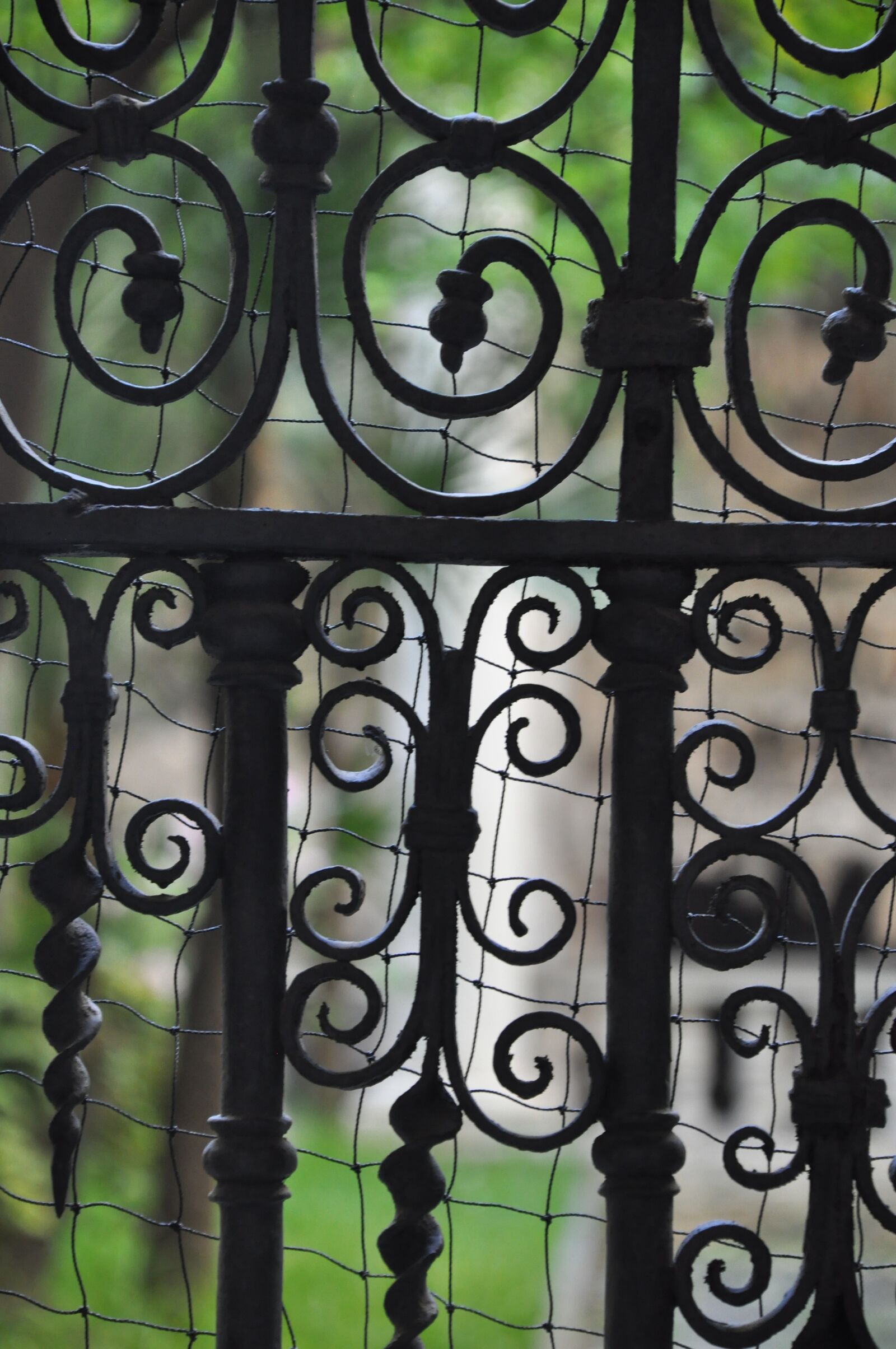 Nikon D90 sample photo. Genoa, gate, fence photography