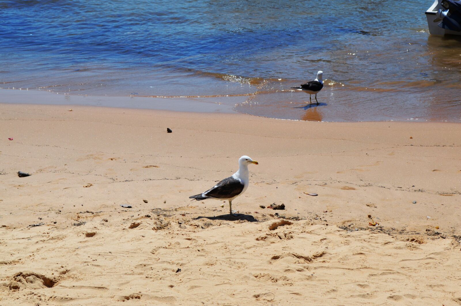 Nikon D3200 sample photo. Beach, mar, beira mar photography