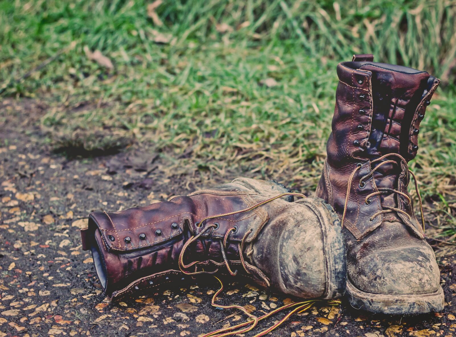 Canon EOS 600D (Rebel EOS T3i / EOS Kiss X5) sample photo. Boots, grass, brown photography