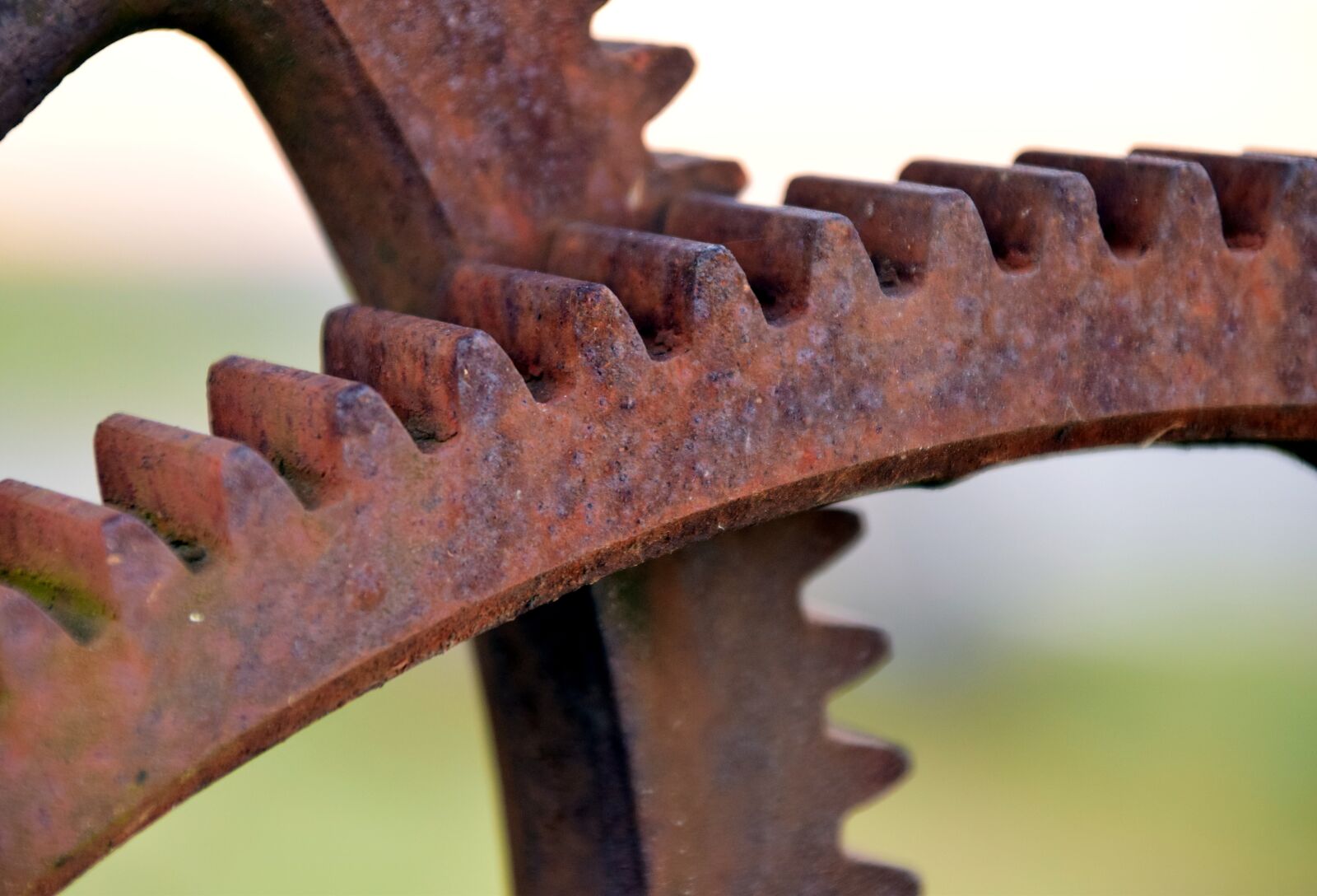 Nikon D3300 sample photo. Gear, metal, rust photography