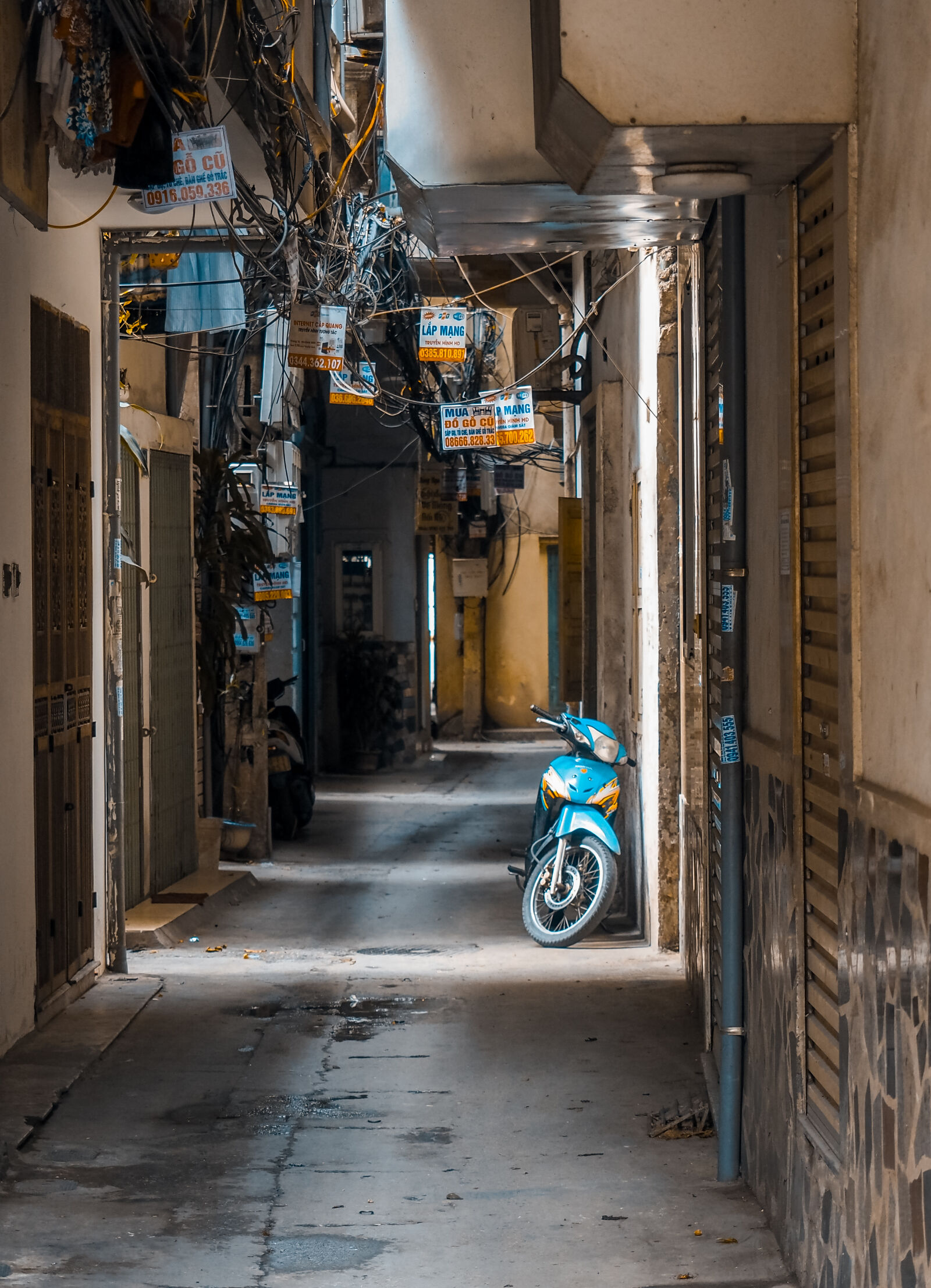 Olympus OM-D E-M1 Mark II sample photo