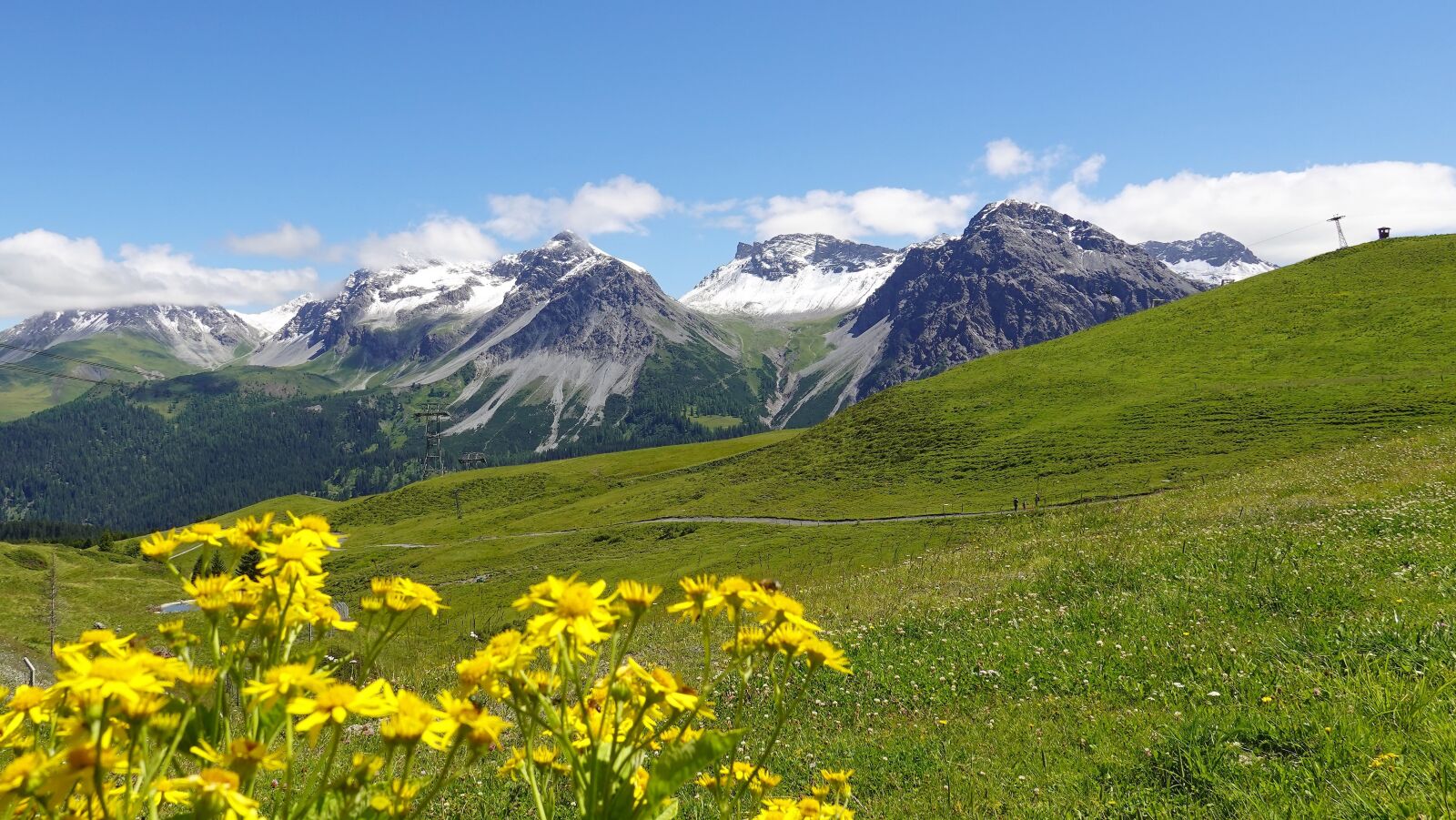 Sony DSC-RX100M7 sample photo. Mountain, flowers, landscape photography
