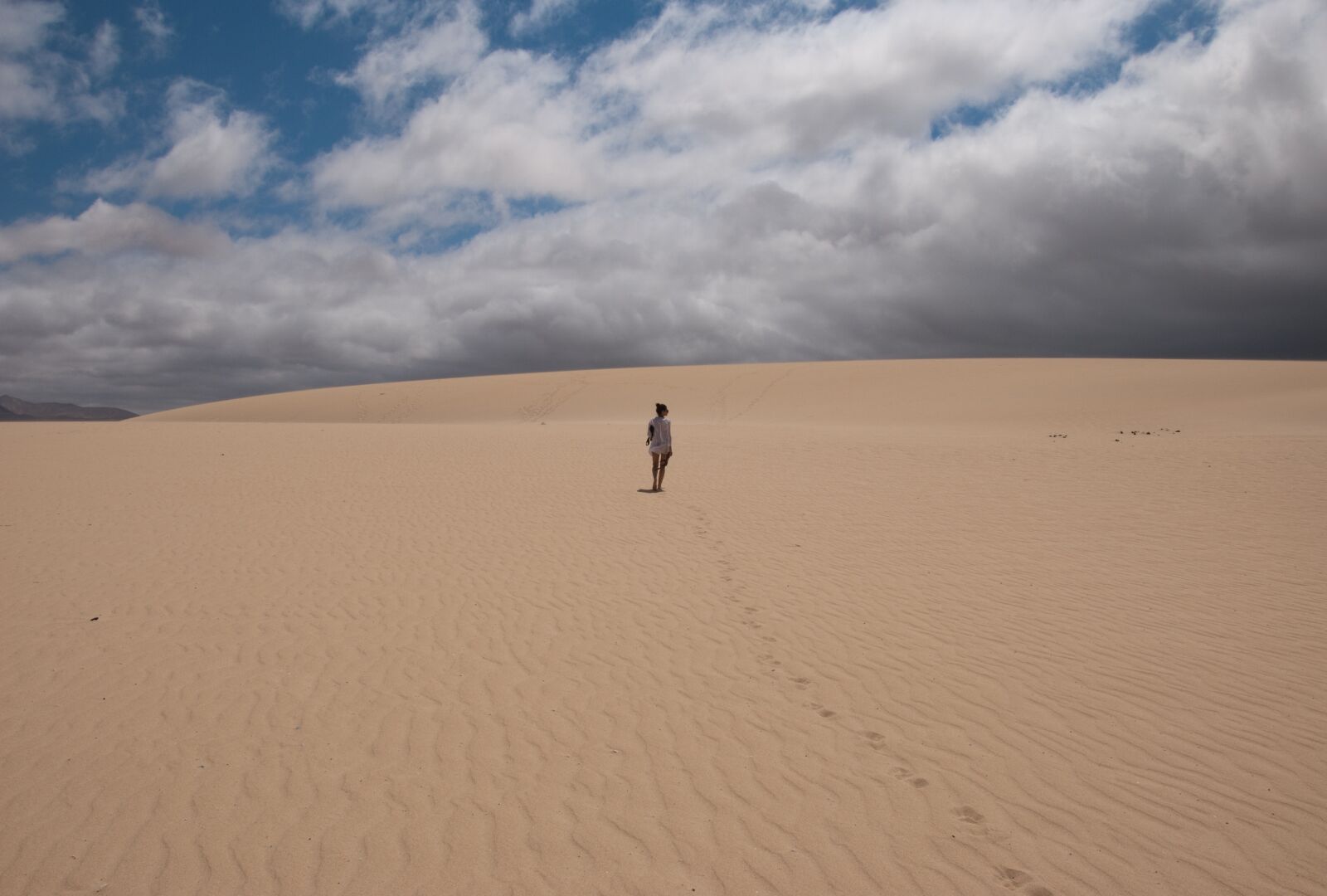 Nikon D3000 sample photo. Sultriness, desert, summer photography