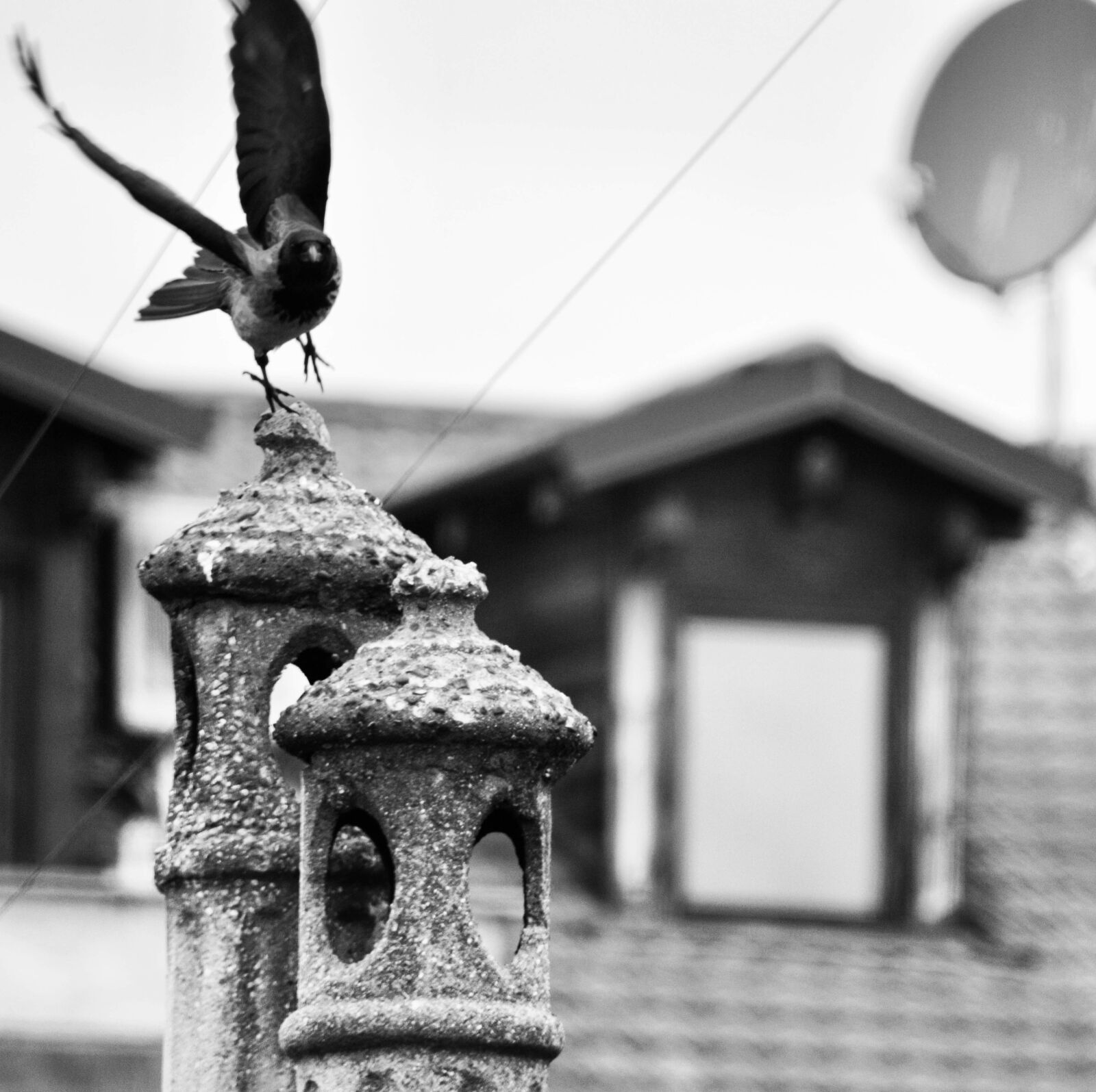 Nikon D3200 sample photo. Torino, flight, roof photography