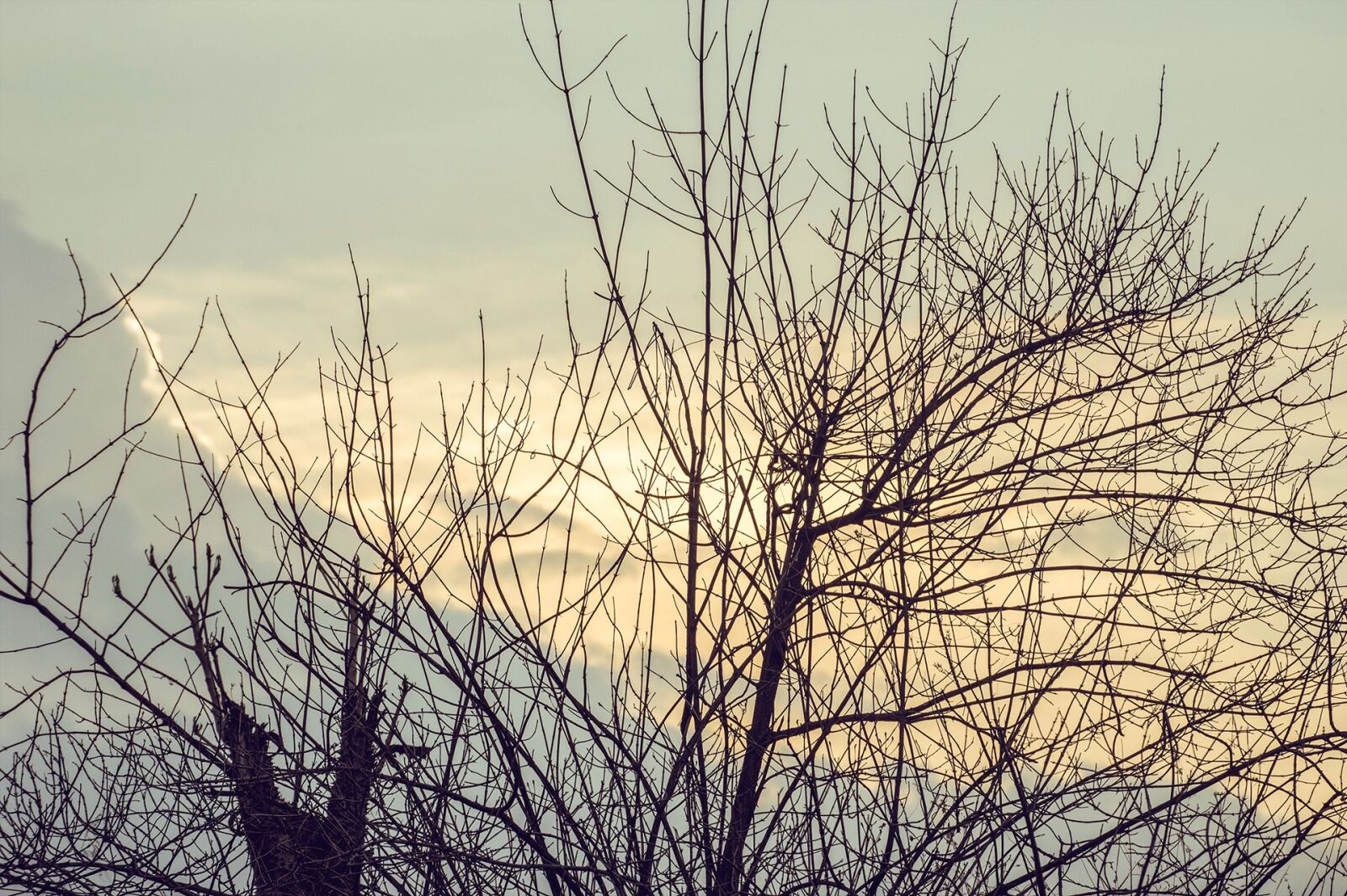 Nikon D3200 sample photo. Sunset, clouds, pretty photography