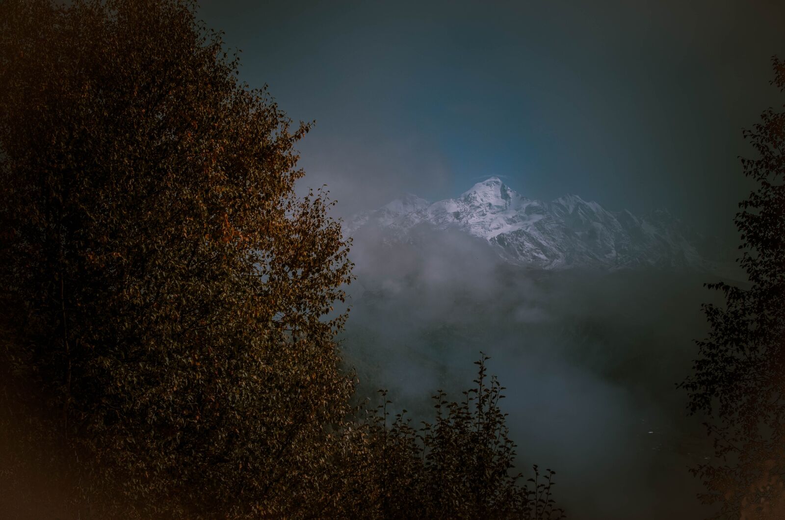 Nikon D5100 sample photo. Georgia, svaneti, fog photography
