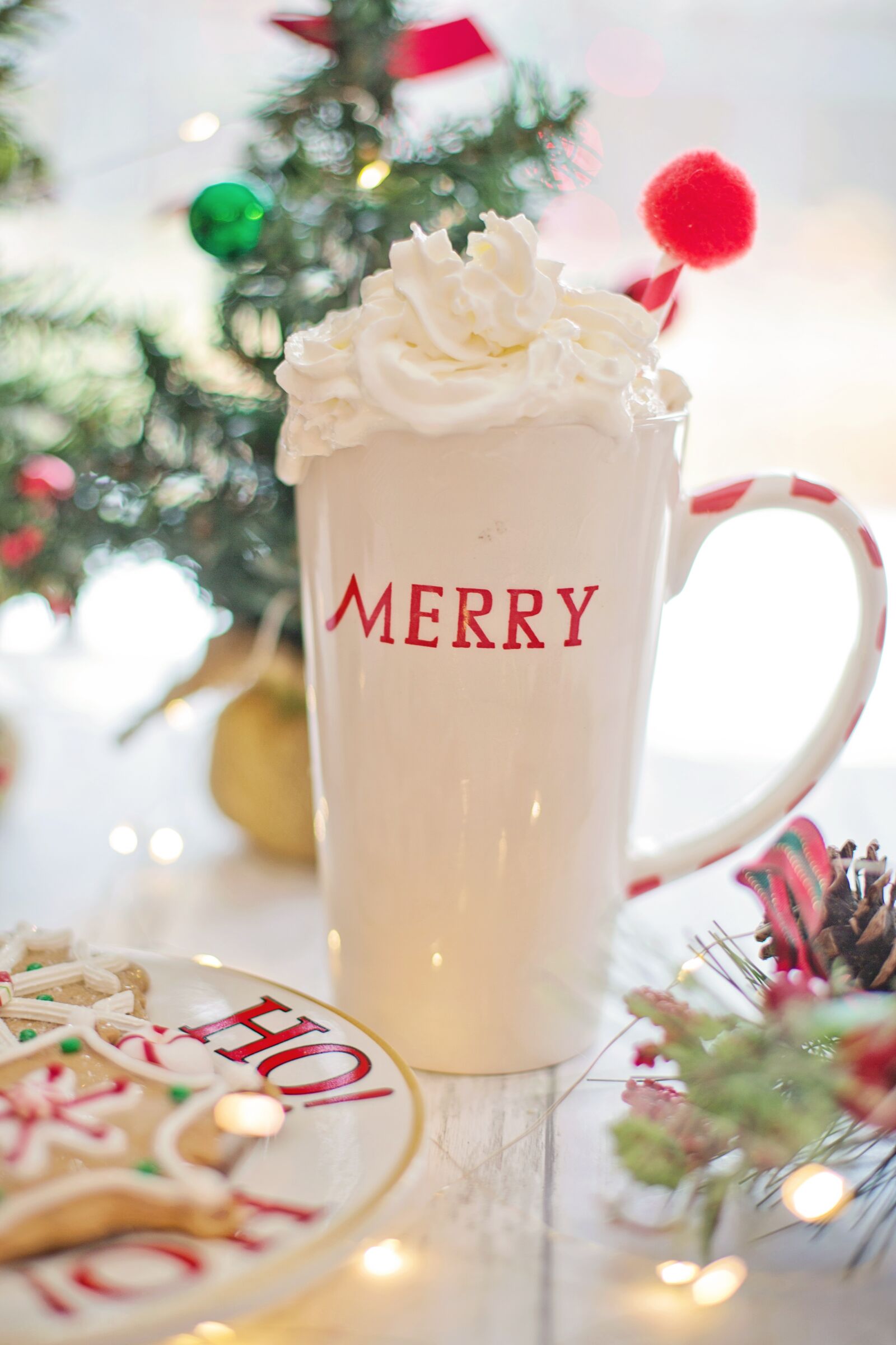 Canon EF 50mm F1.4 USM sample photo. Hot chocolate, whipped cream photography