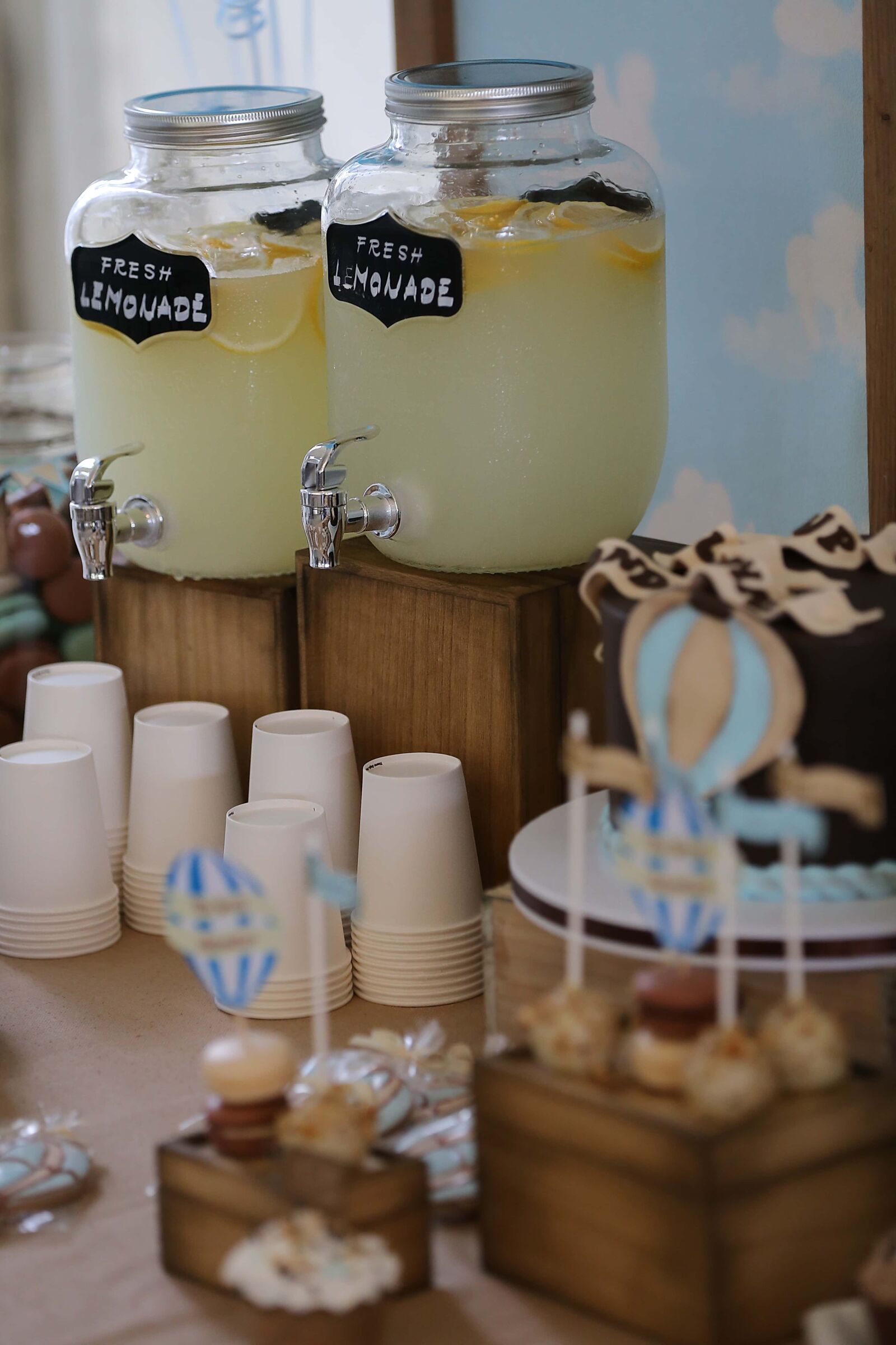 Canon EF 70-200mm F2.8L IS II USM sample photo. Fresh, beverage, lemonade, party photography