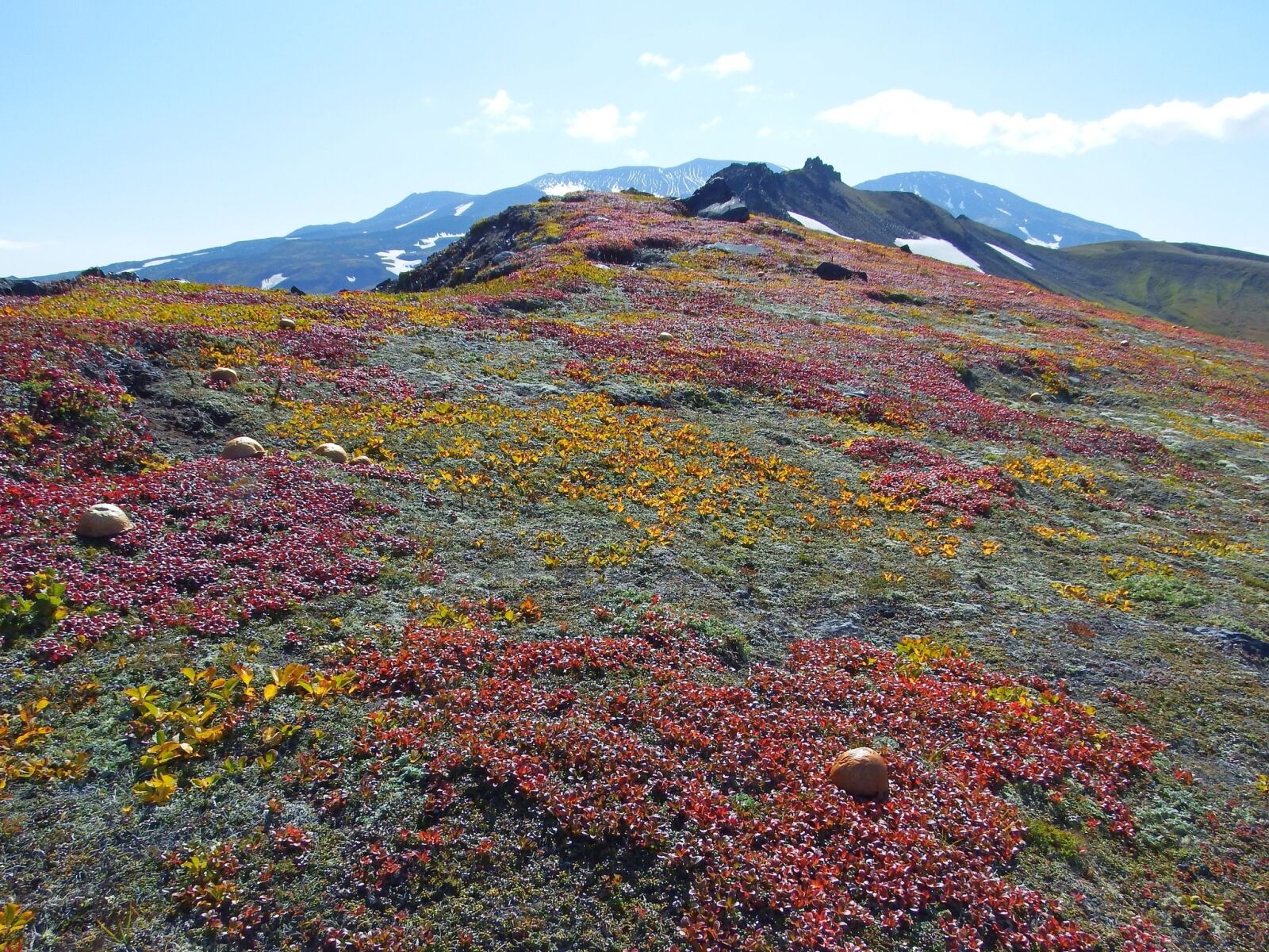 Fujifilm FinePix S1 sample photo. Mountains, volcano, tundra photography