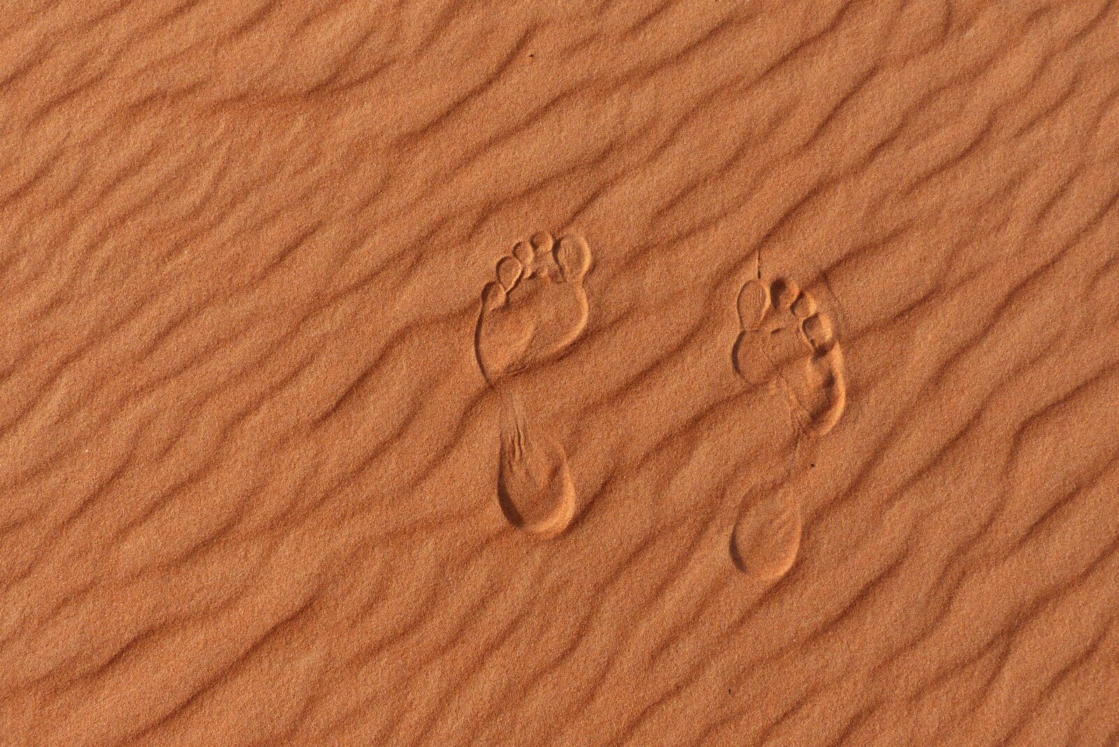 Panasonic Lumix DMC-FZ200 sample photo. Sand, dunes, feet photography